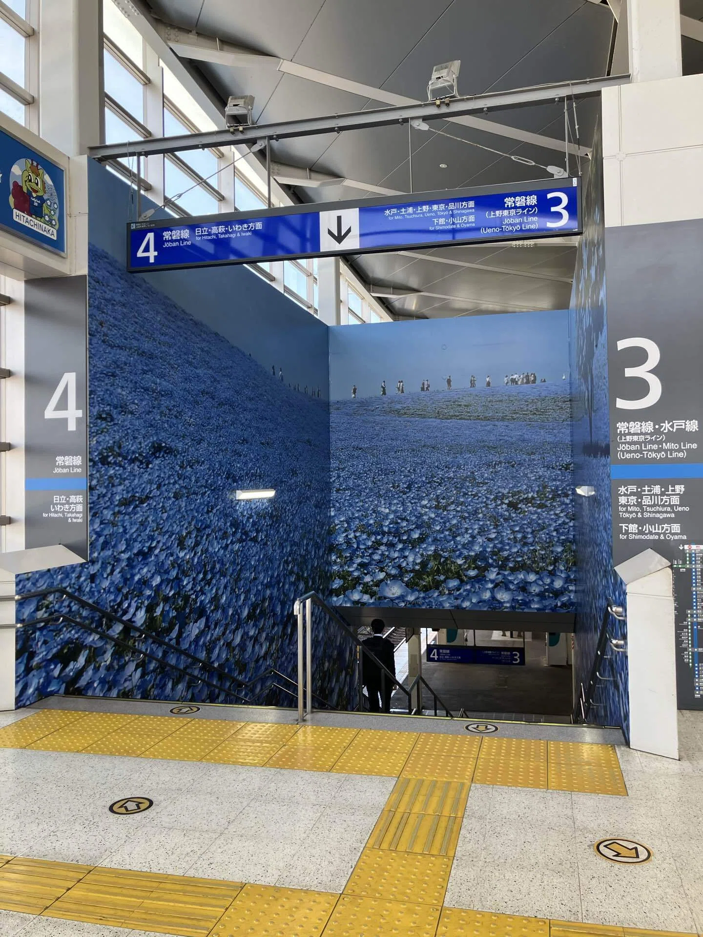 No.15 青に染まる。ひたち海浜公園から美術館へ、心を満たす日帰り旅