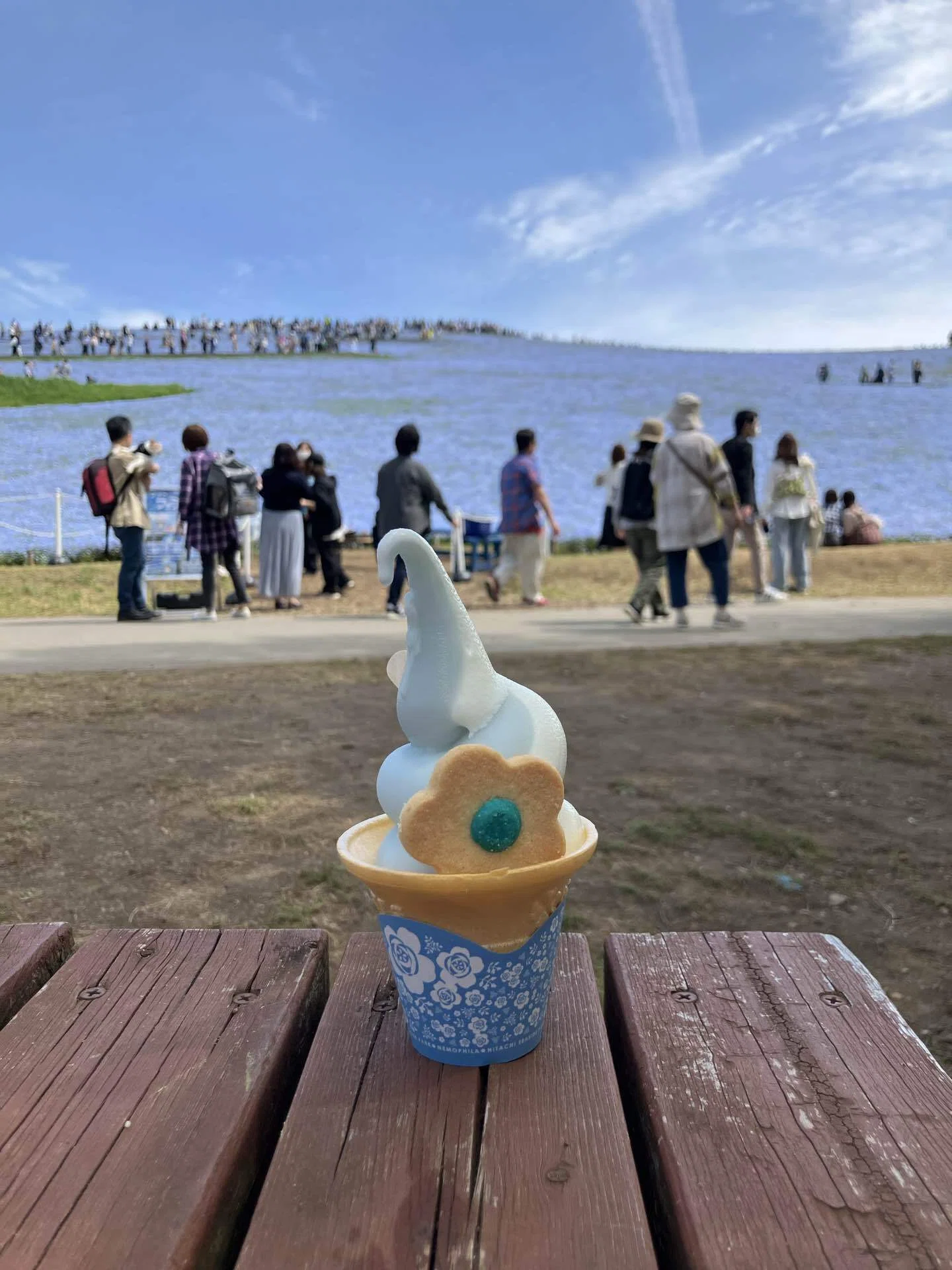 ひま★　他の方はご遠慮ください サクラの次は、ネモフィラのシーズン！ 茨城県「ひたち海浜公園」 の