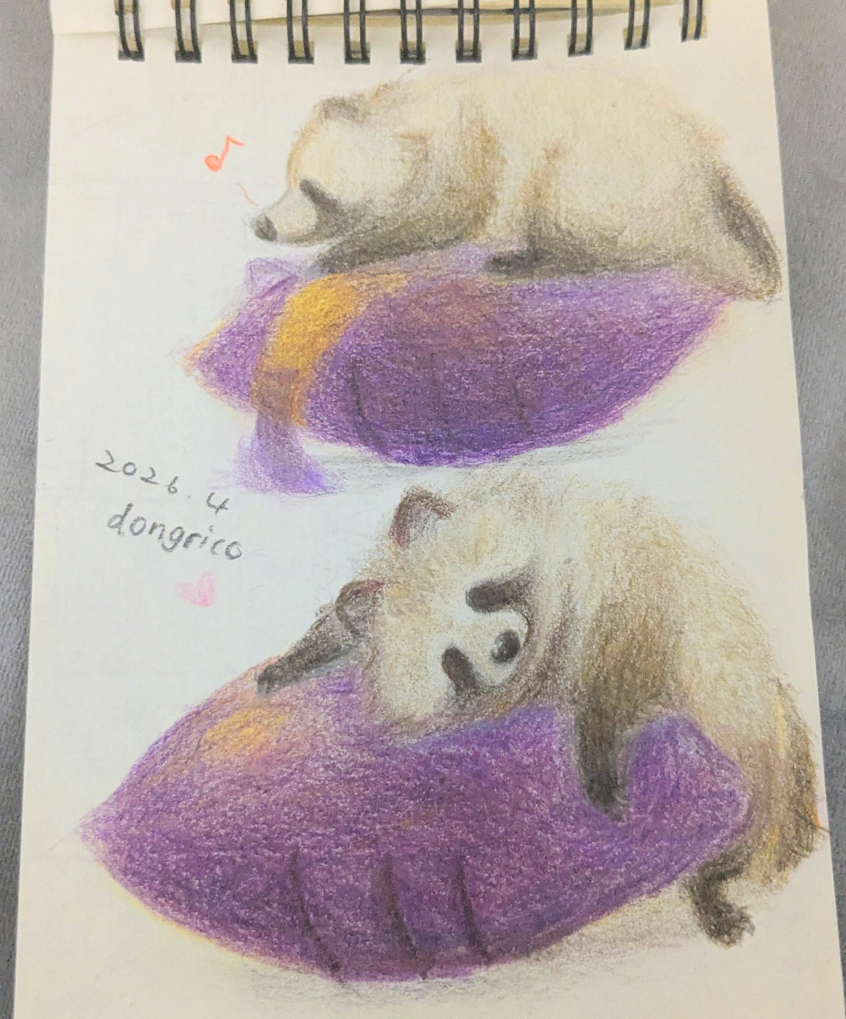Tanuki Picture Diary: 