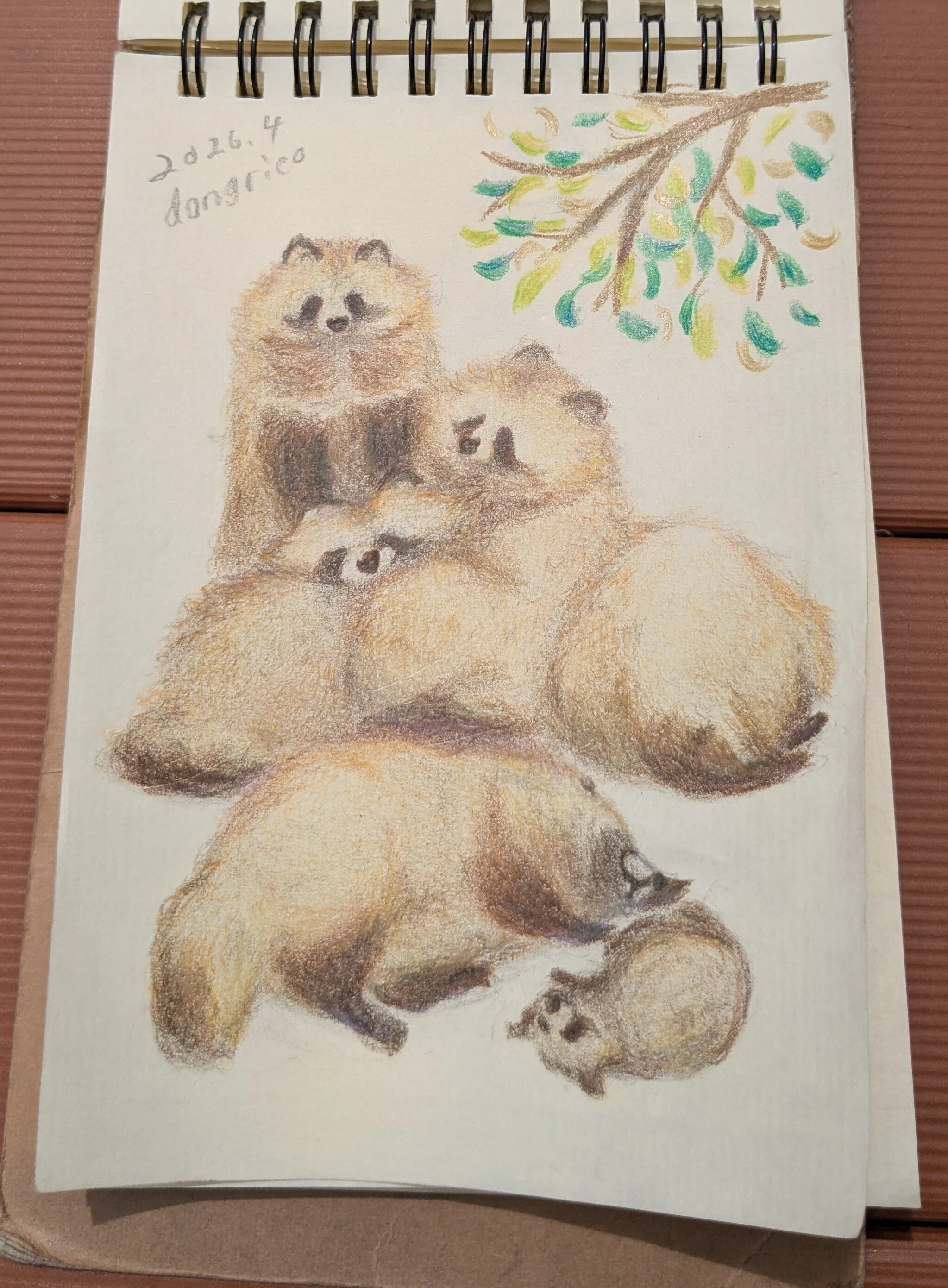 Tanuki Picture Diary: 