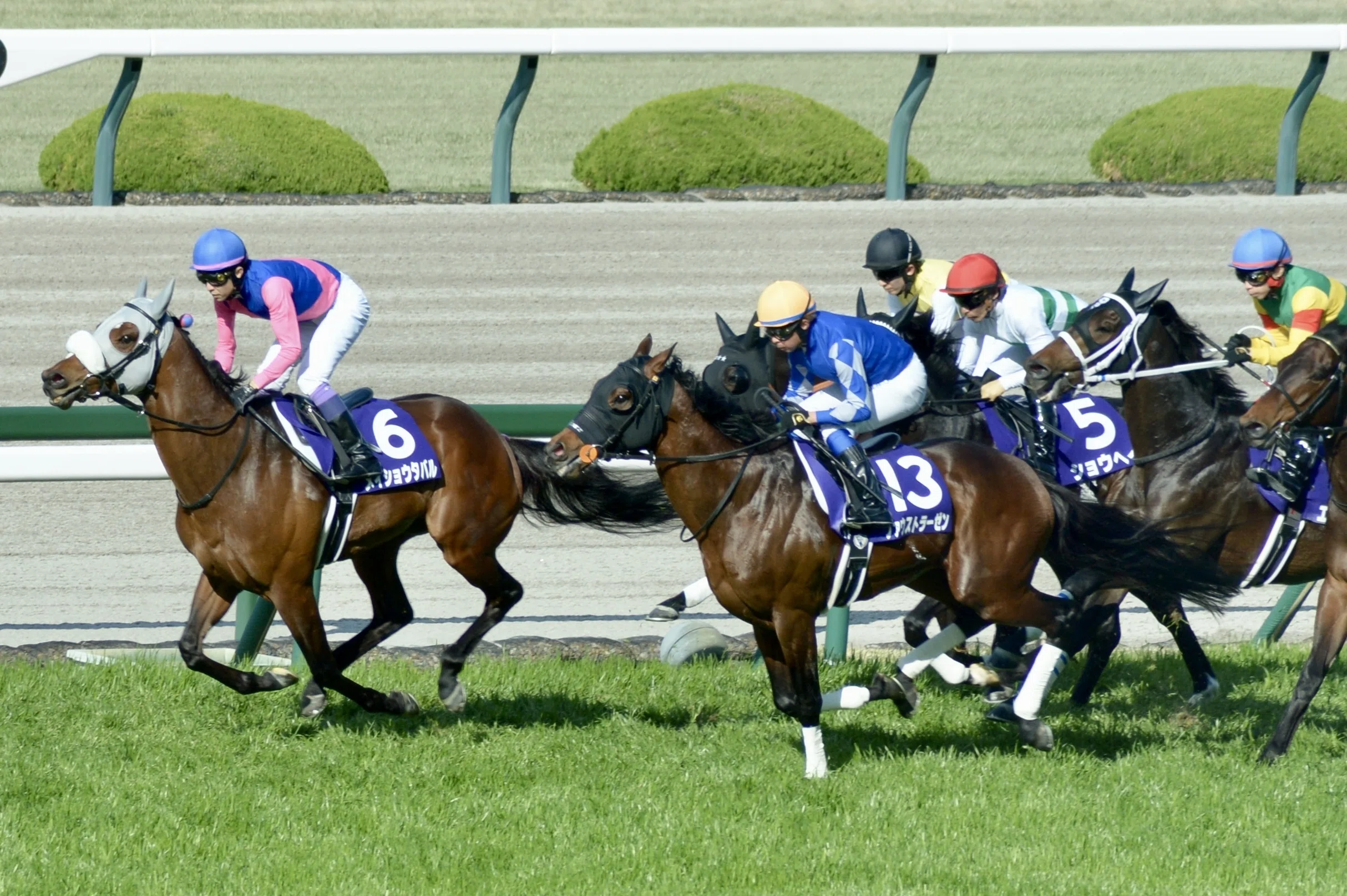 2026年 大阪杯 阪神競馬場遠征②｜ぽてち
