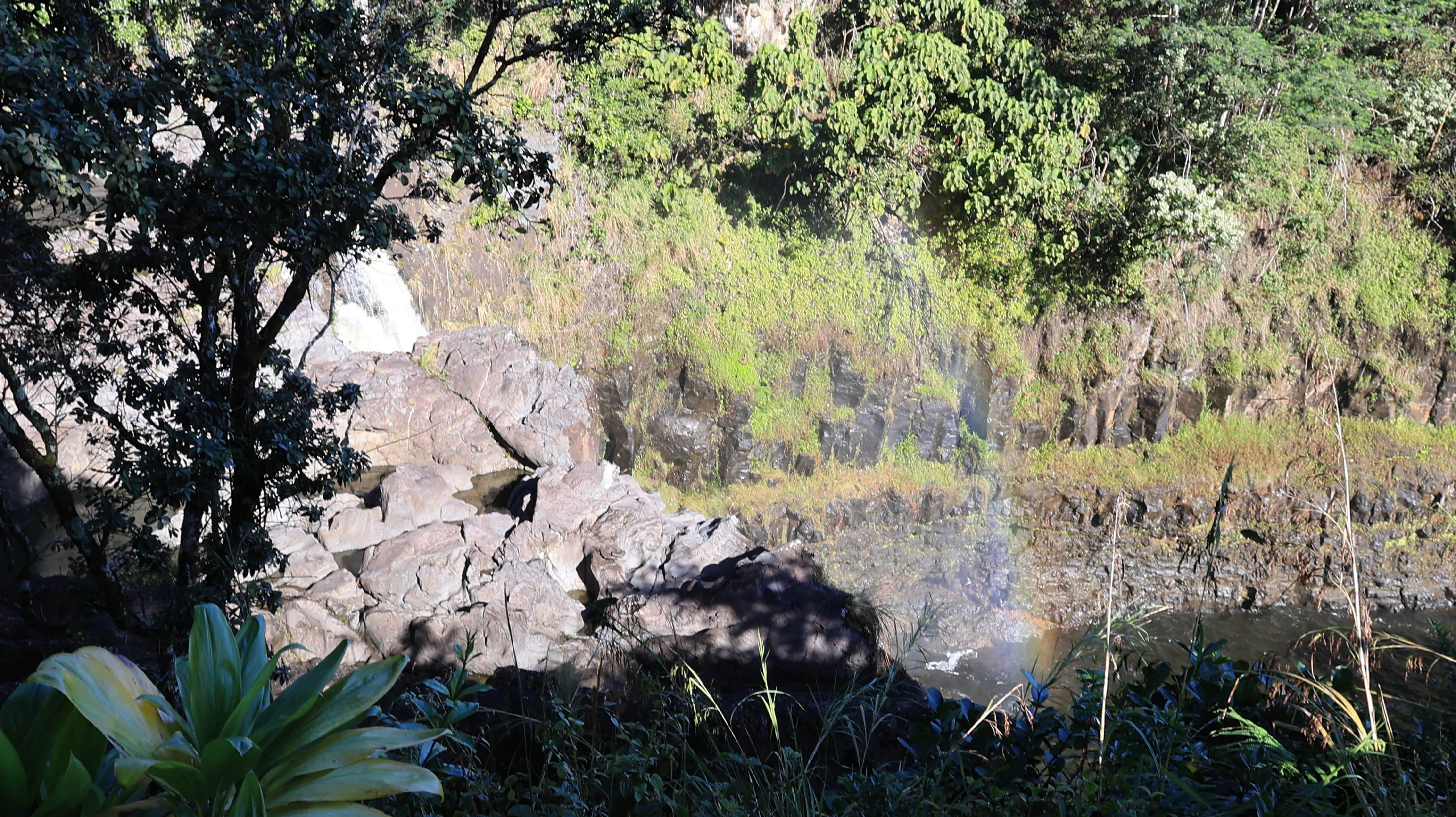 ハワイ島の秘境🌴】🌋溶岩がすべてを変えた場所へ｜入場料が必要に