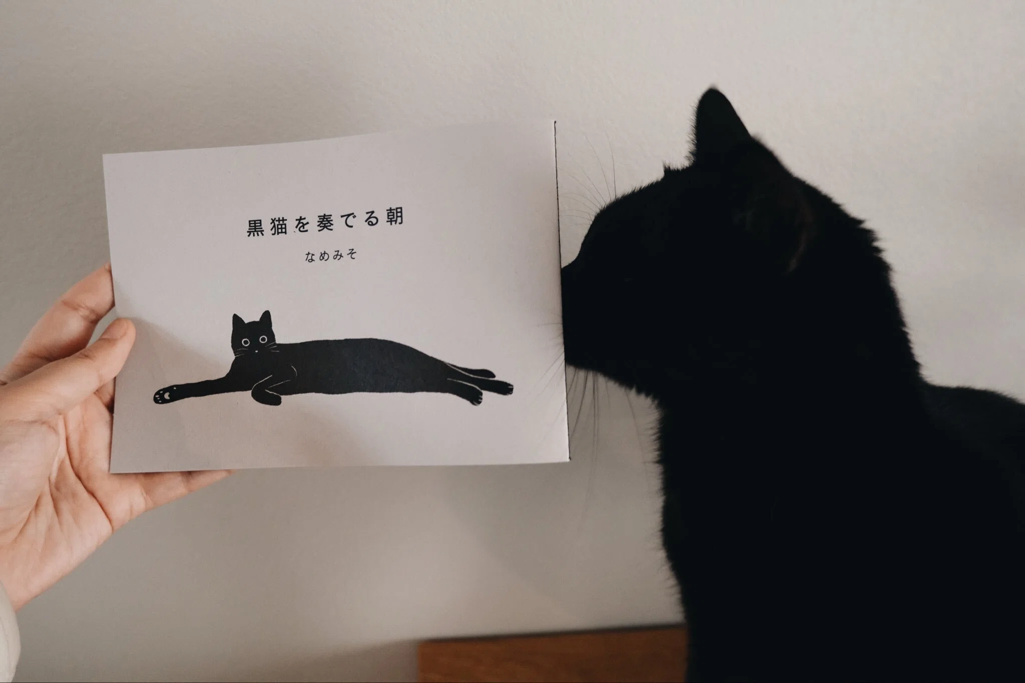 文学フリマ東京42に出店します｜なめみそ | sunokko design