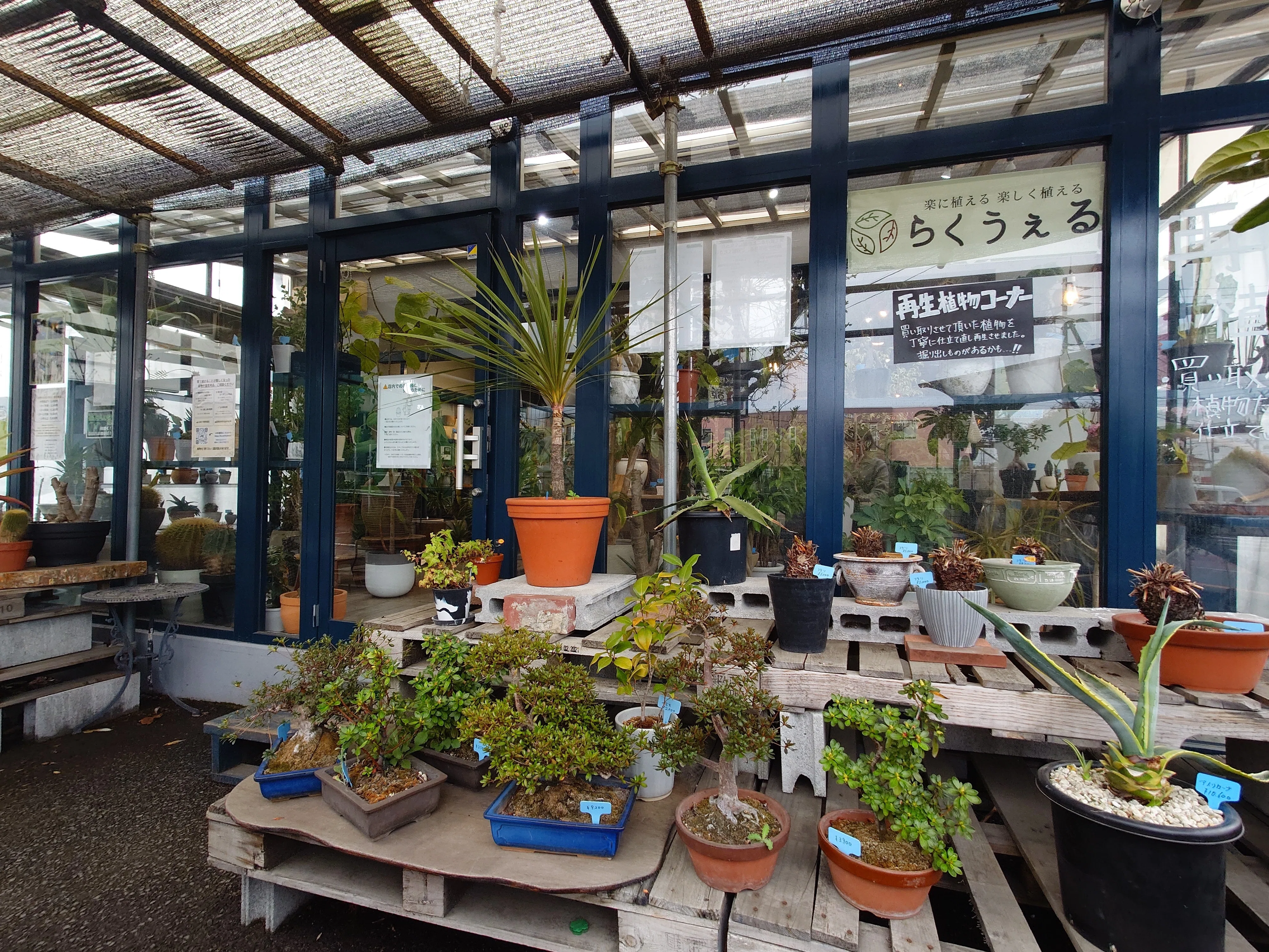 帰り道に偶然見つけた、植物のリサイクル専門店が最高だった｜らくうぇ