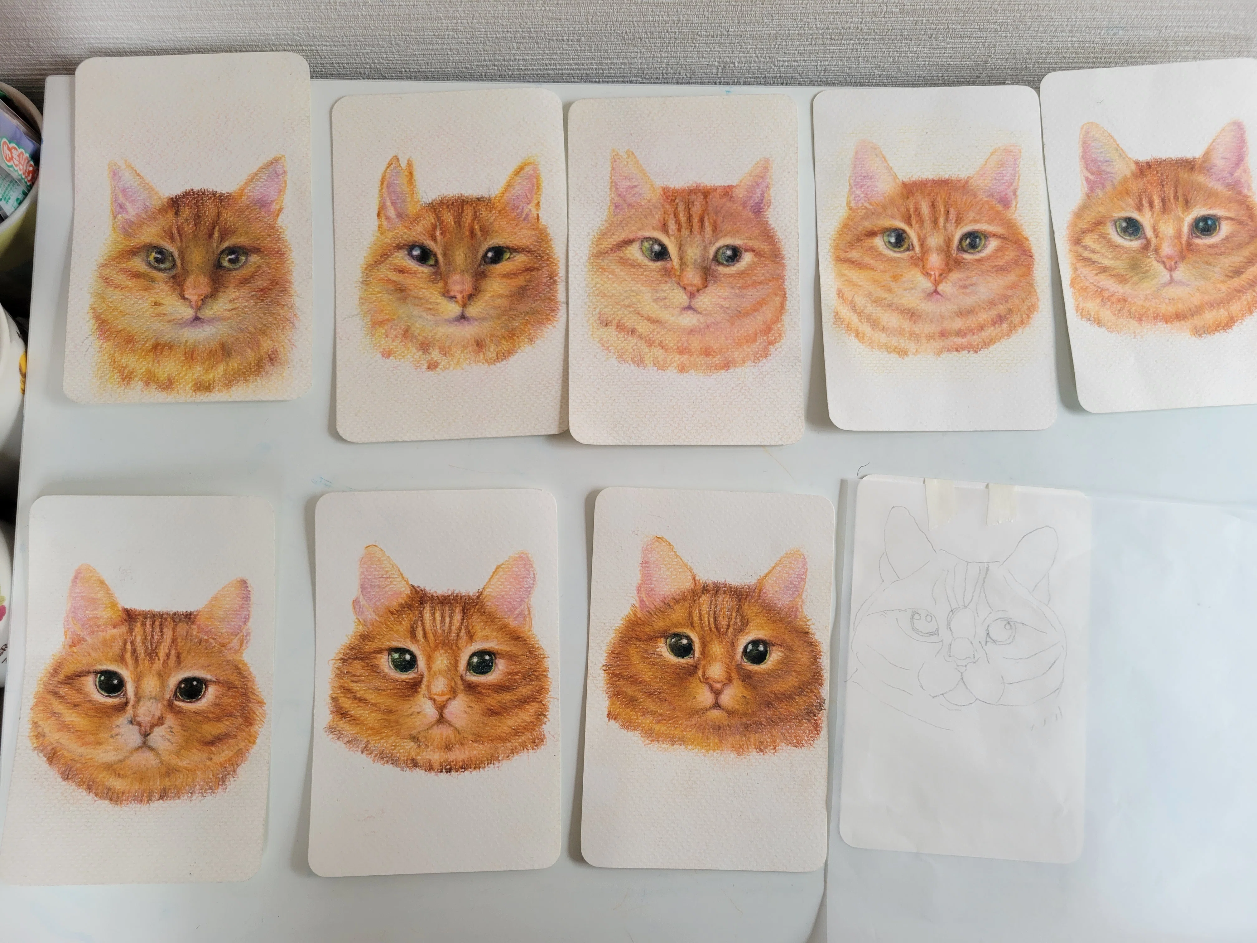 絵本制作裏側ノート 色鉛筆／茶トラ｜ ねこと5656(ゴロゴロ)