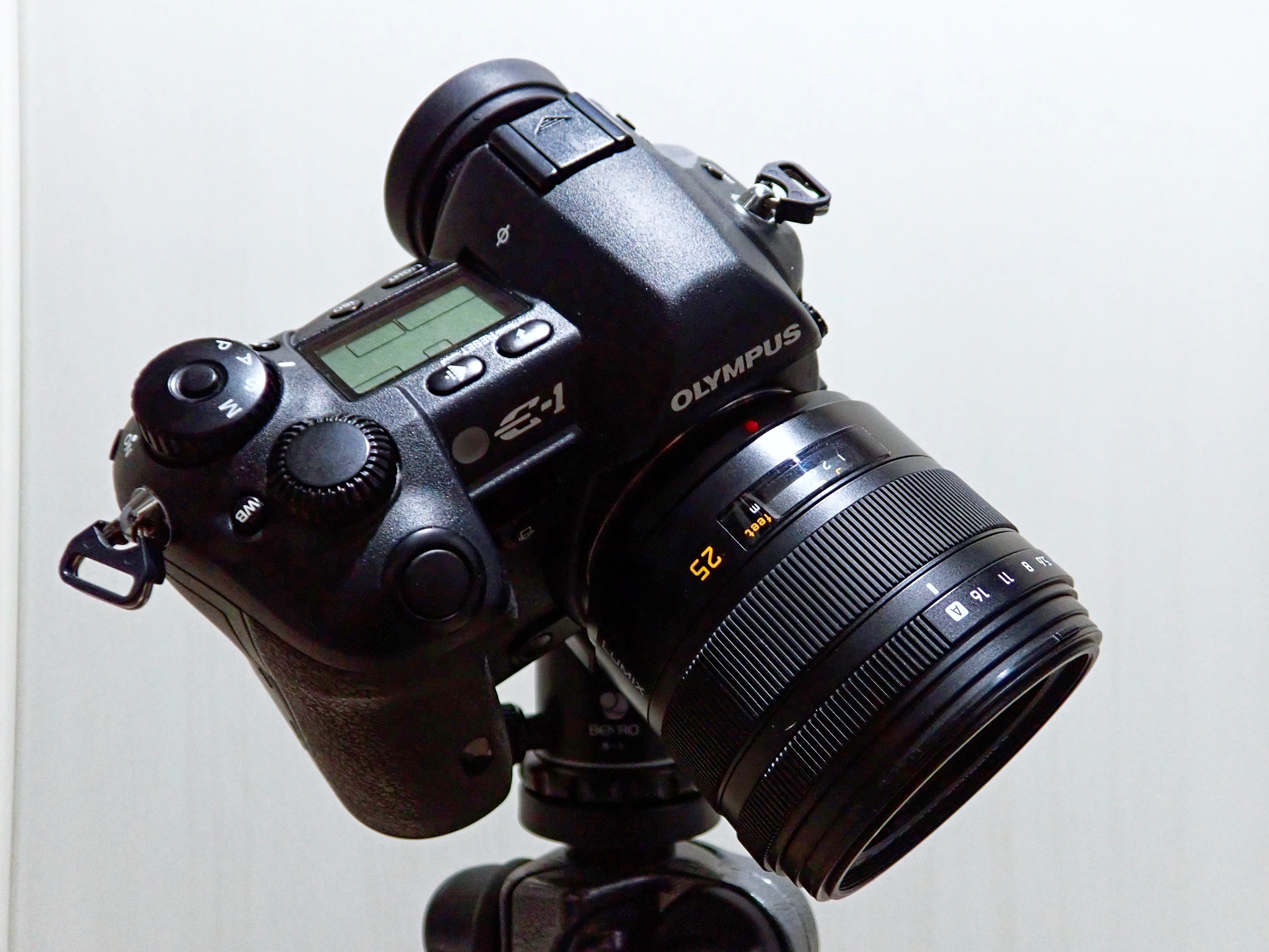 ♯34【4/3】また会えましたね OLYMPUS E-1｜dai