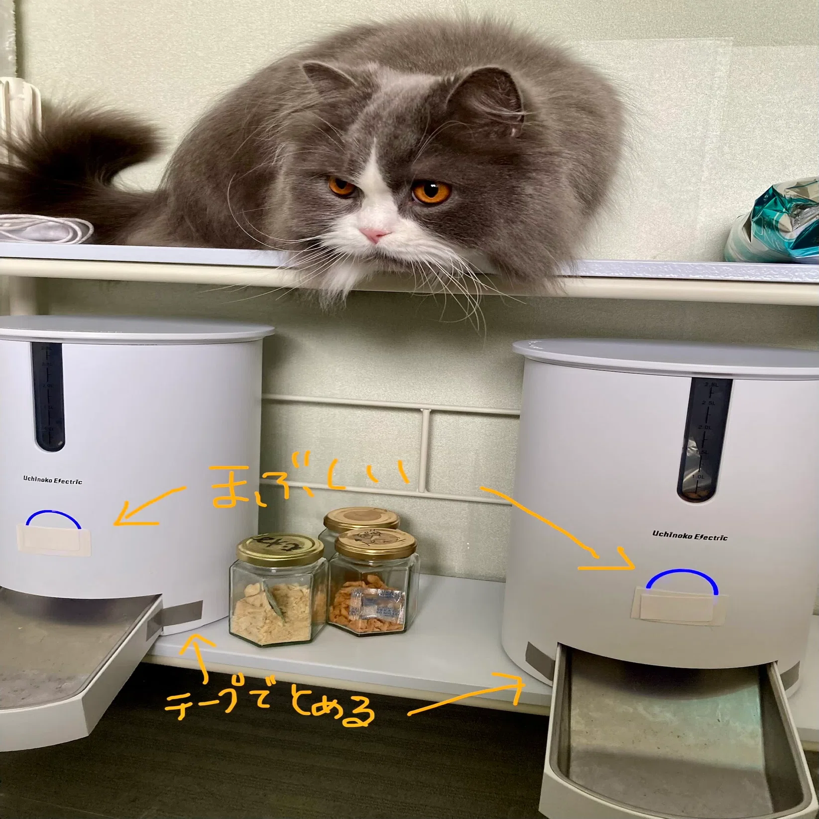猫の食生活を快適に。「カリカリマシーンV2C」導入レポート：設置の