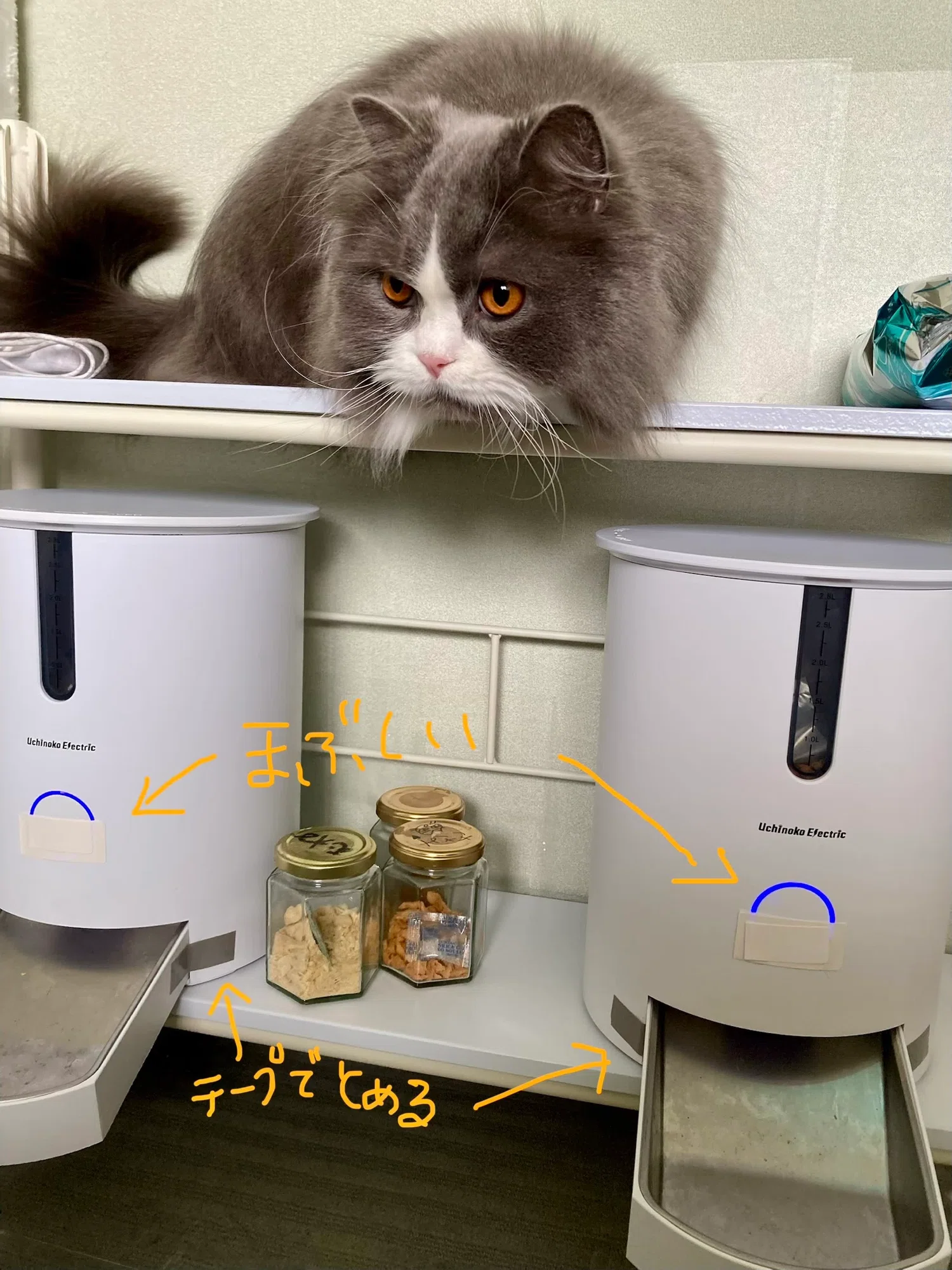 猫の食生活を快適に。自動給餌器「カリカリマシーンV2C」導入レポート 猫の食生活を快適に。自動給餌器「カリカリマシーンV2C」導入レポート