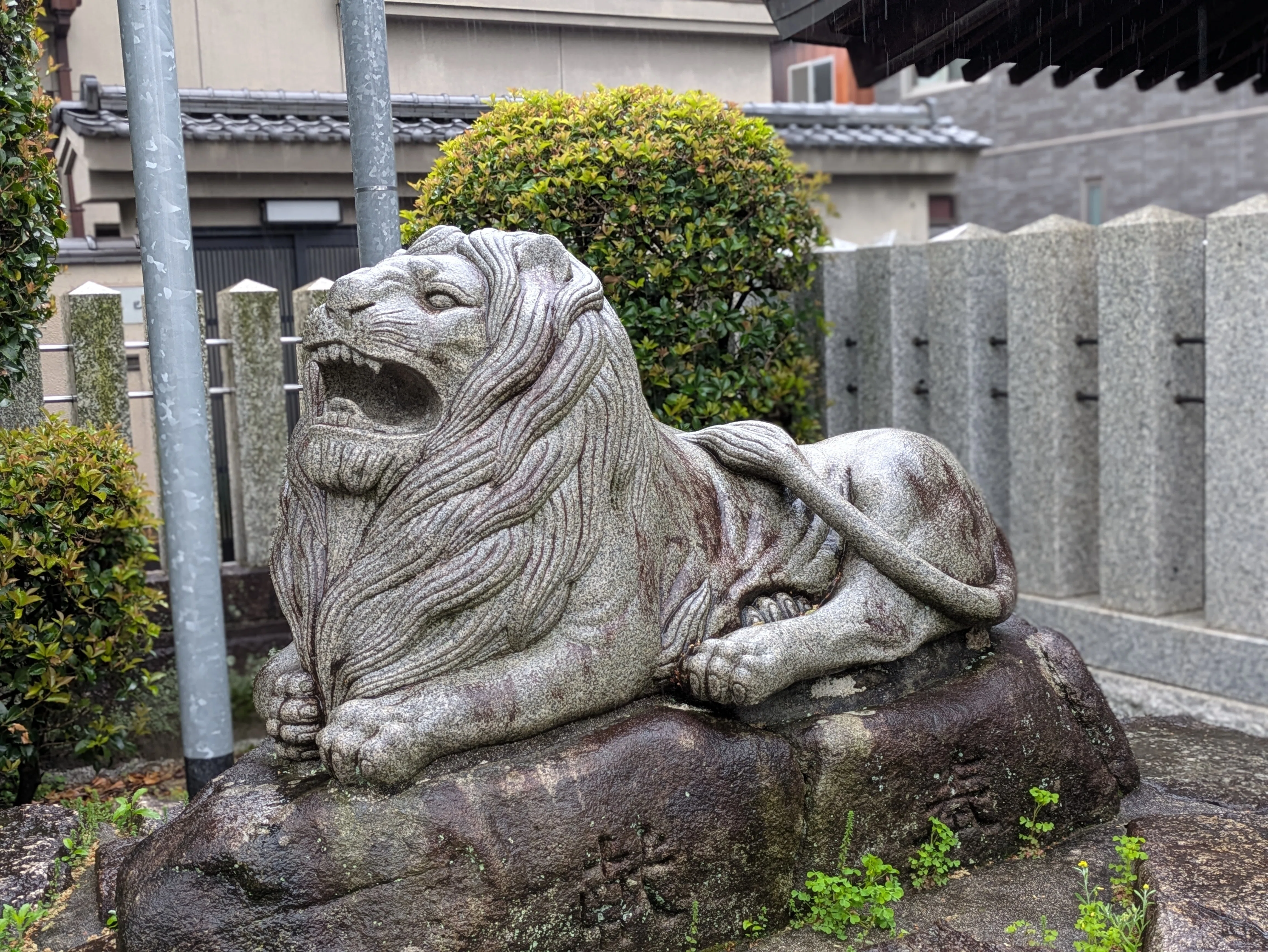 狛犬はどこから来たのか｜阿吽に宿る祈りと、日本で変化した守護の