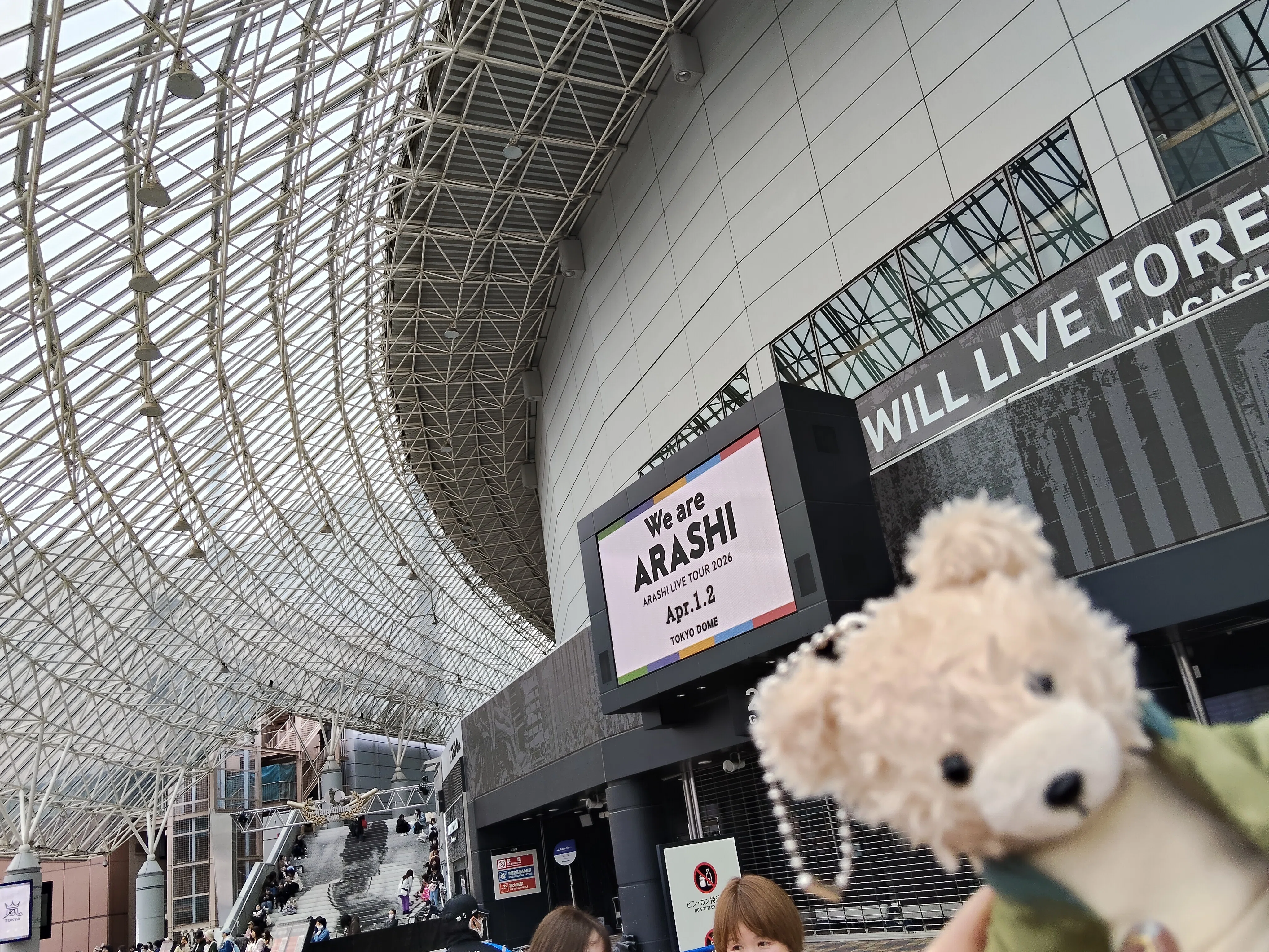 ぼっちオタクが「We are ARASHI in 東京ドーム」に参戦する備忘録｜夢