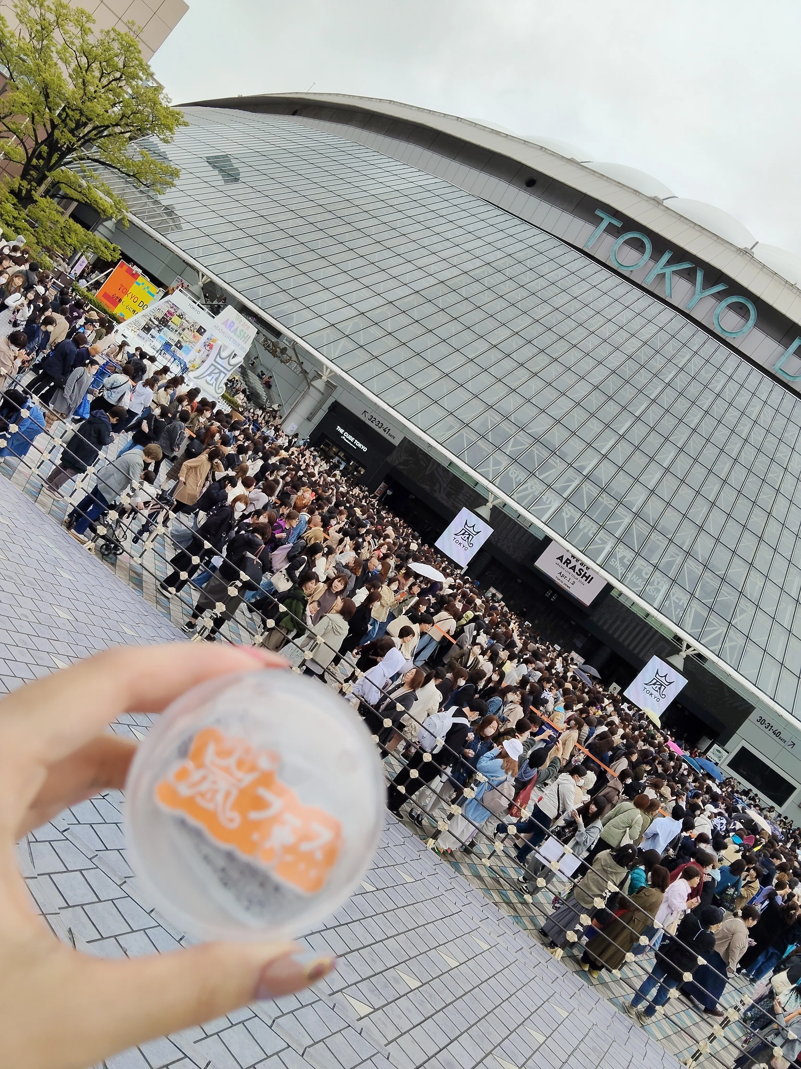 ぼっちオタクが「We are ARASHI in 東京ドーム」に参戦する備忘録｜夢