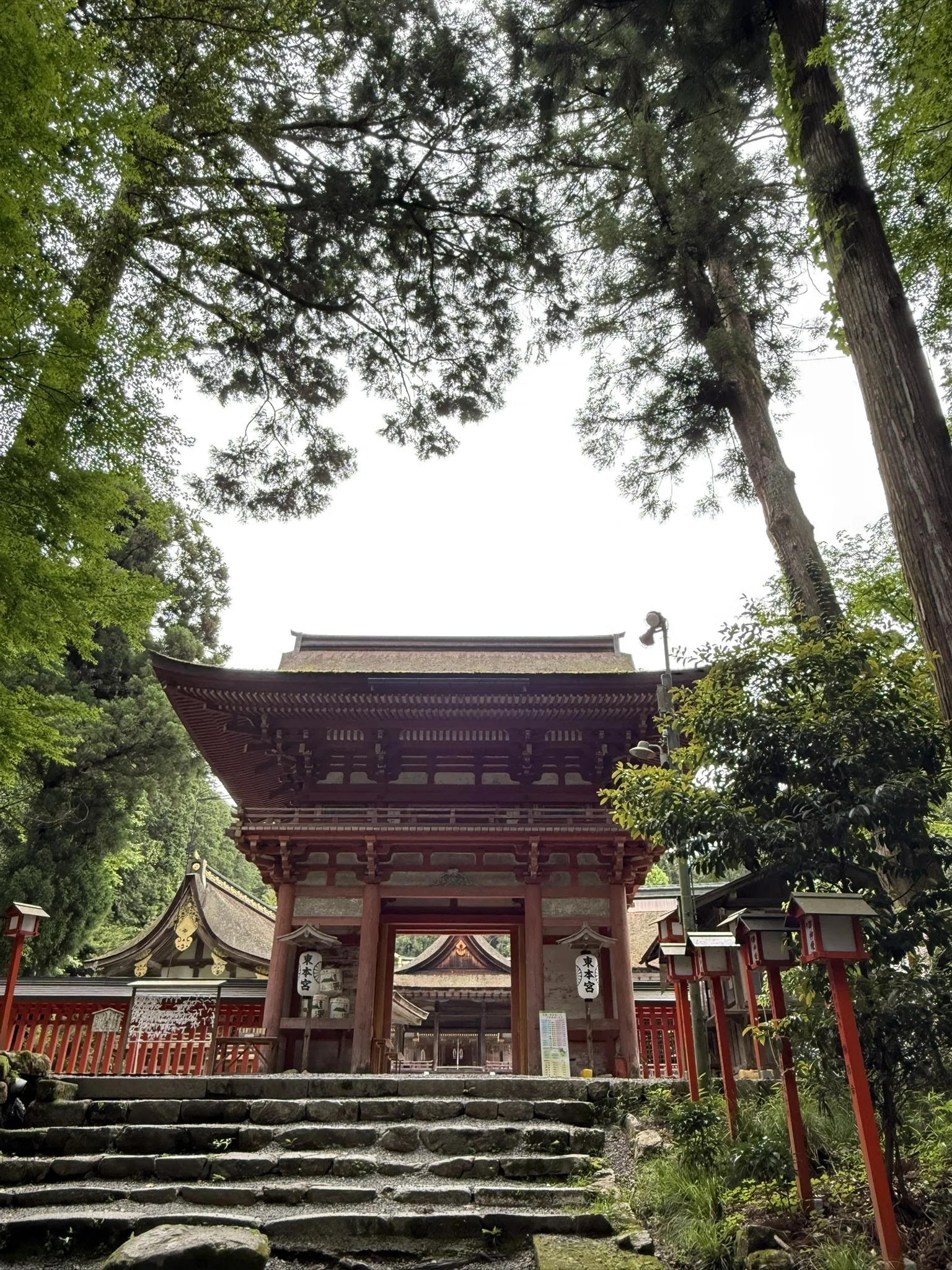 日吉大社②東本宮｜比叡山の地主神・大山咋神と霊泉が語る自然神道の原