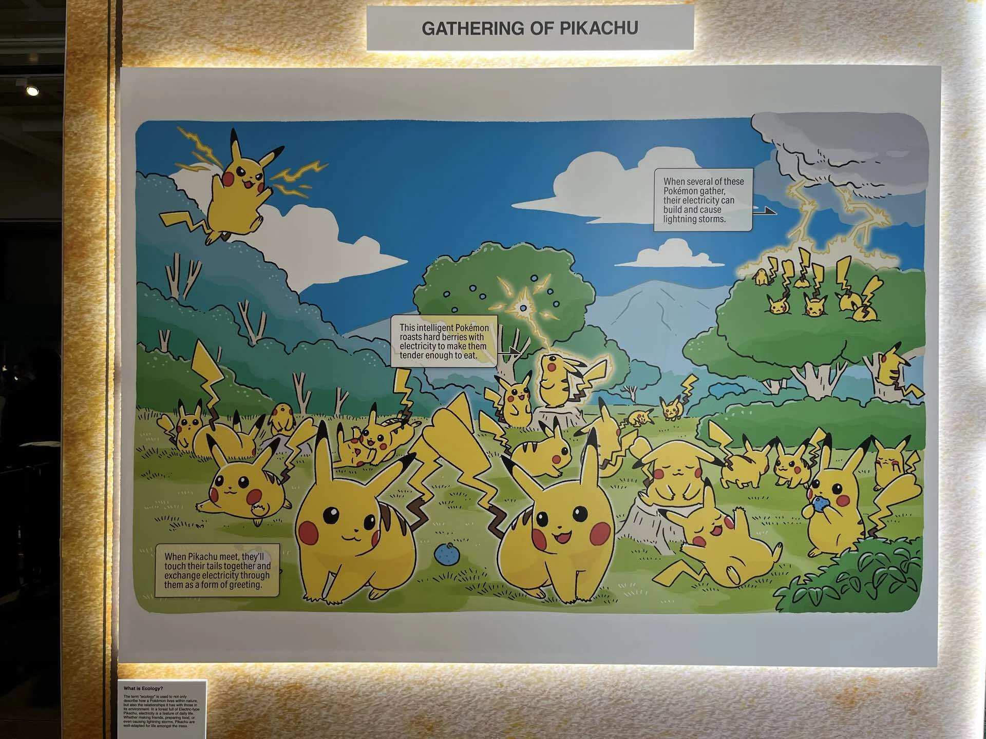 5歳児と行くロンドン🇬🇧自然史博物館Pokémonコラボ展｜yokohama_lullaby