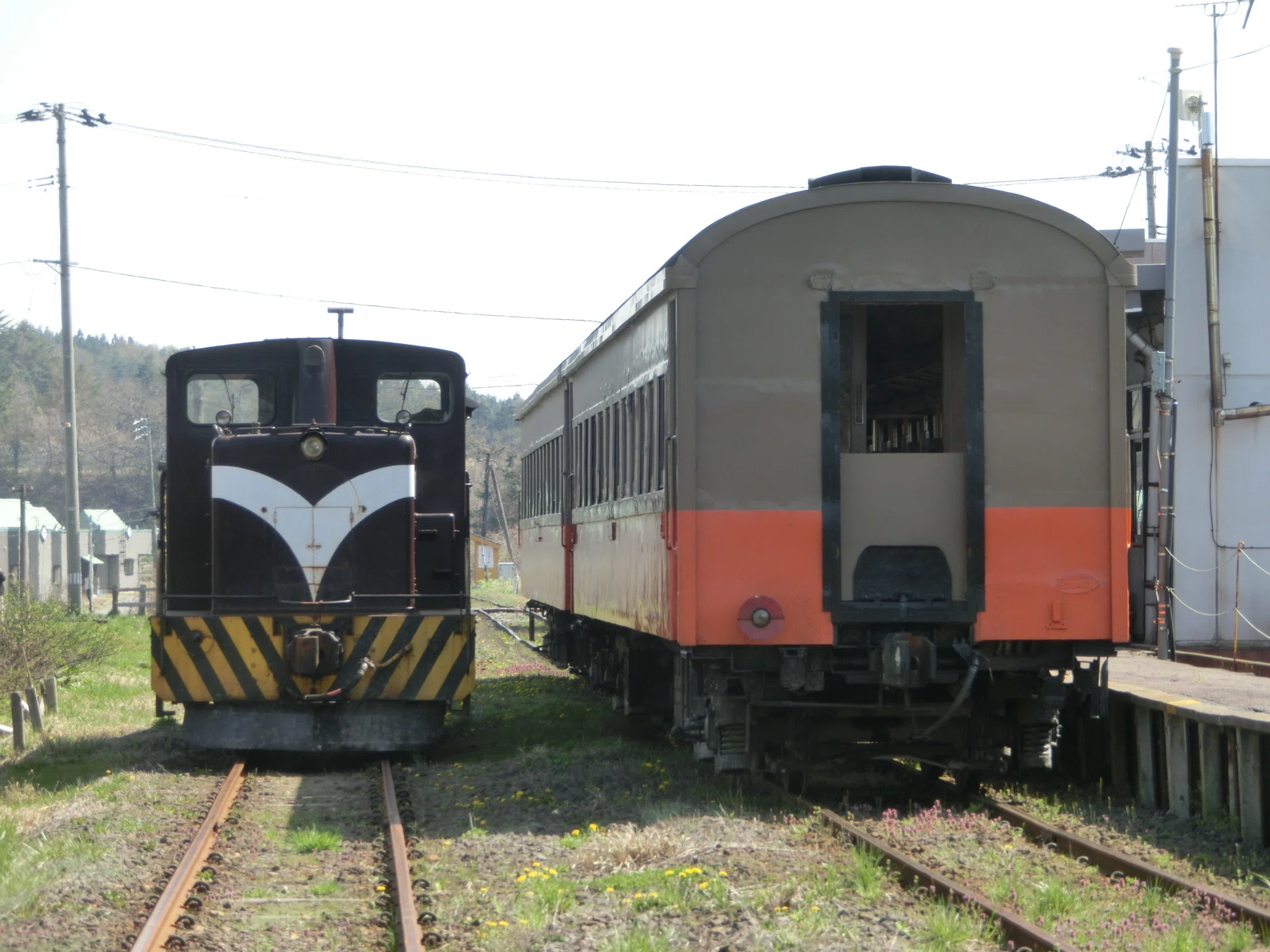 がんばれ津軽鉄道 2026年4月 旧型客車臨時列車運転中｜東京のアライグマ