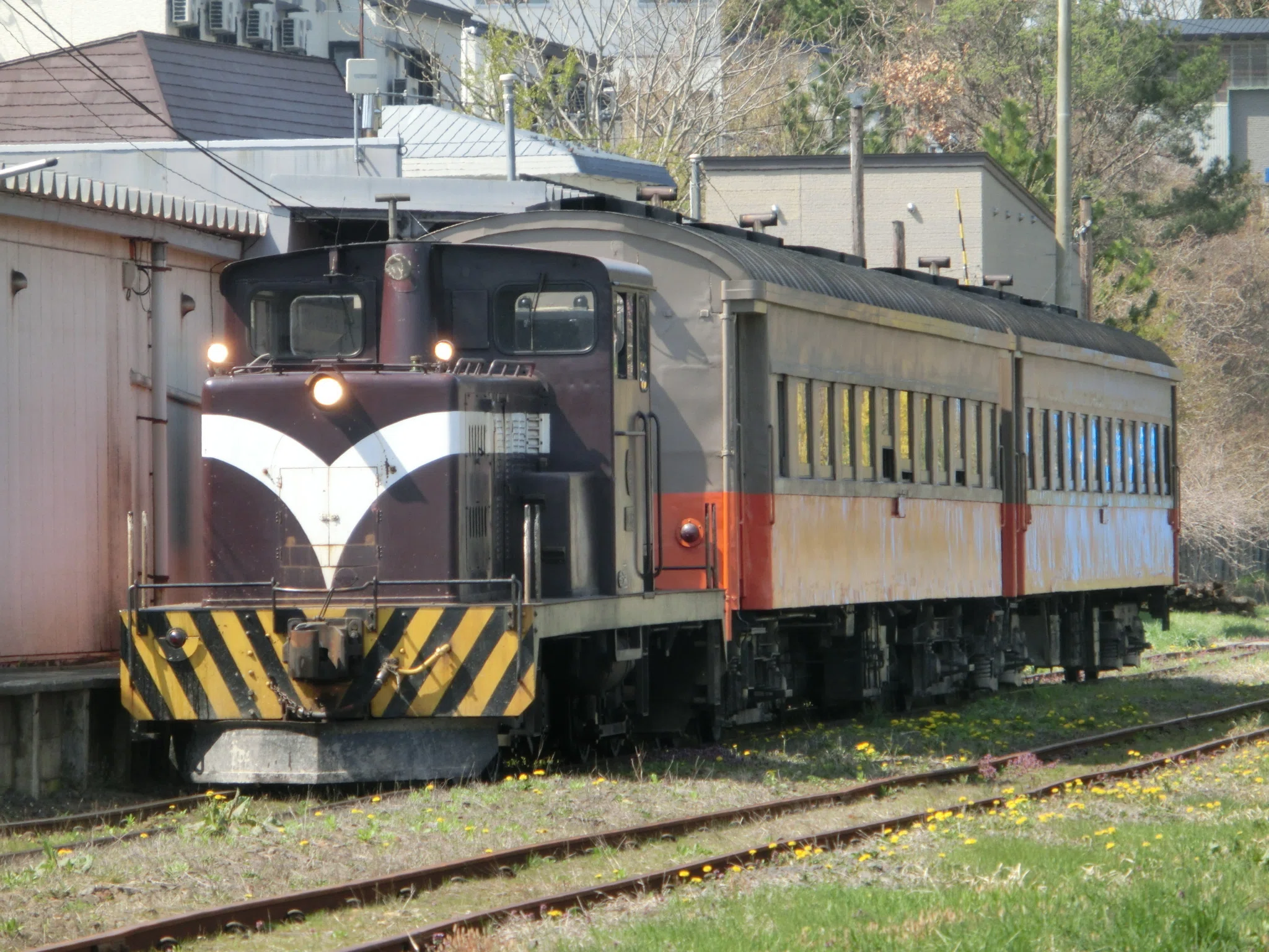 がんばれ津軽鉄道 2026年4月 旧型客車臨時列車運転中｜東京のアライグマ