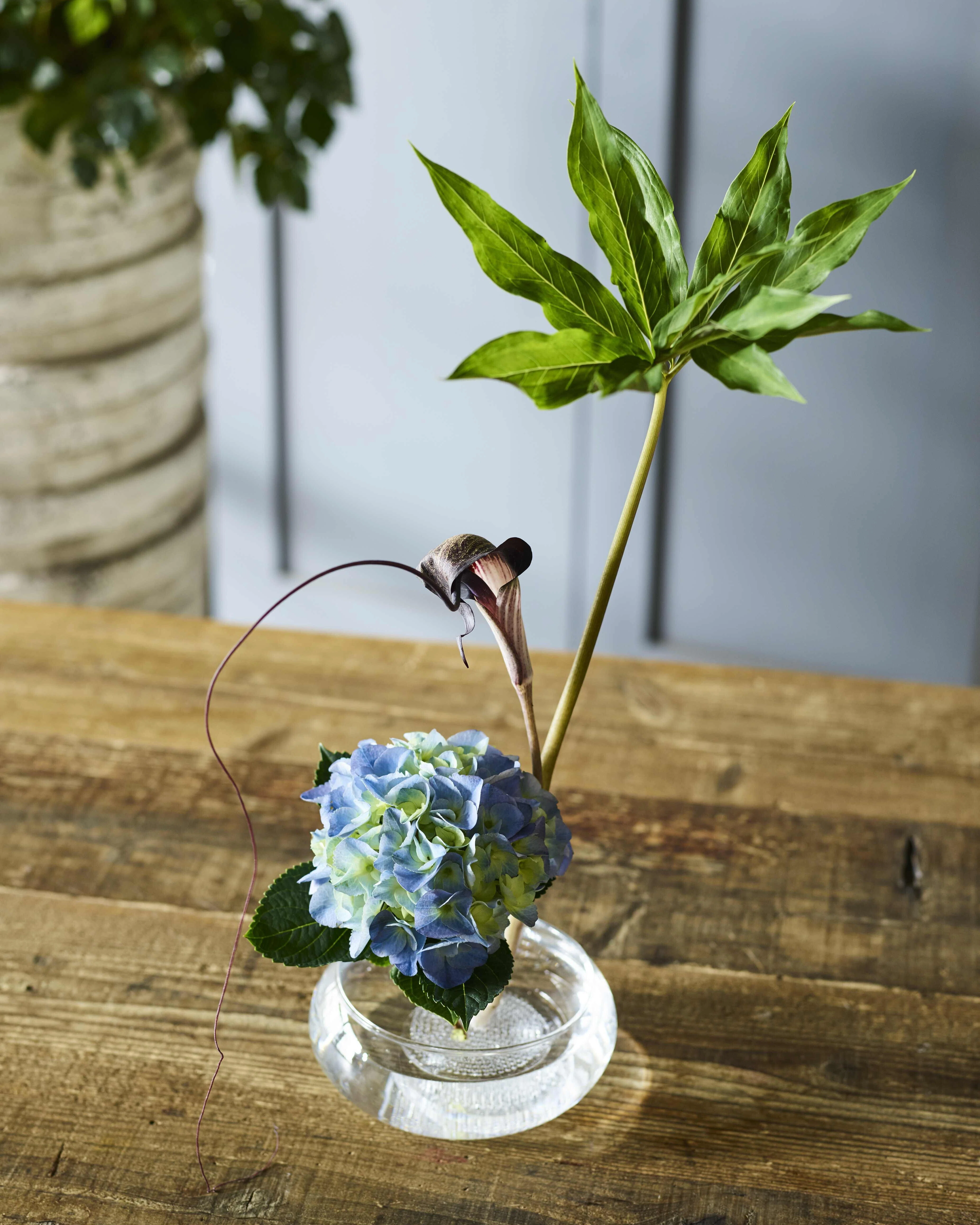 旬の花を美しく飾るには？｜紫陽花（アジサイ）の魅力とスタイリング5