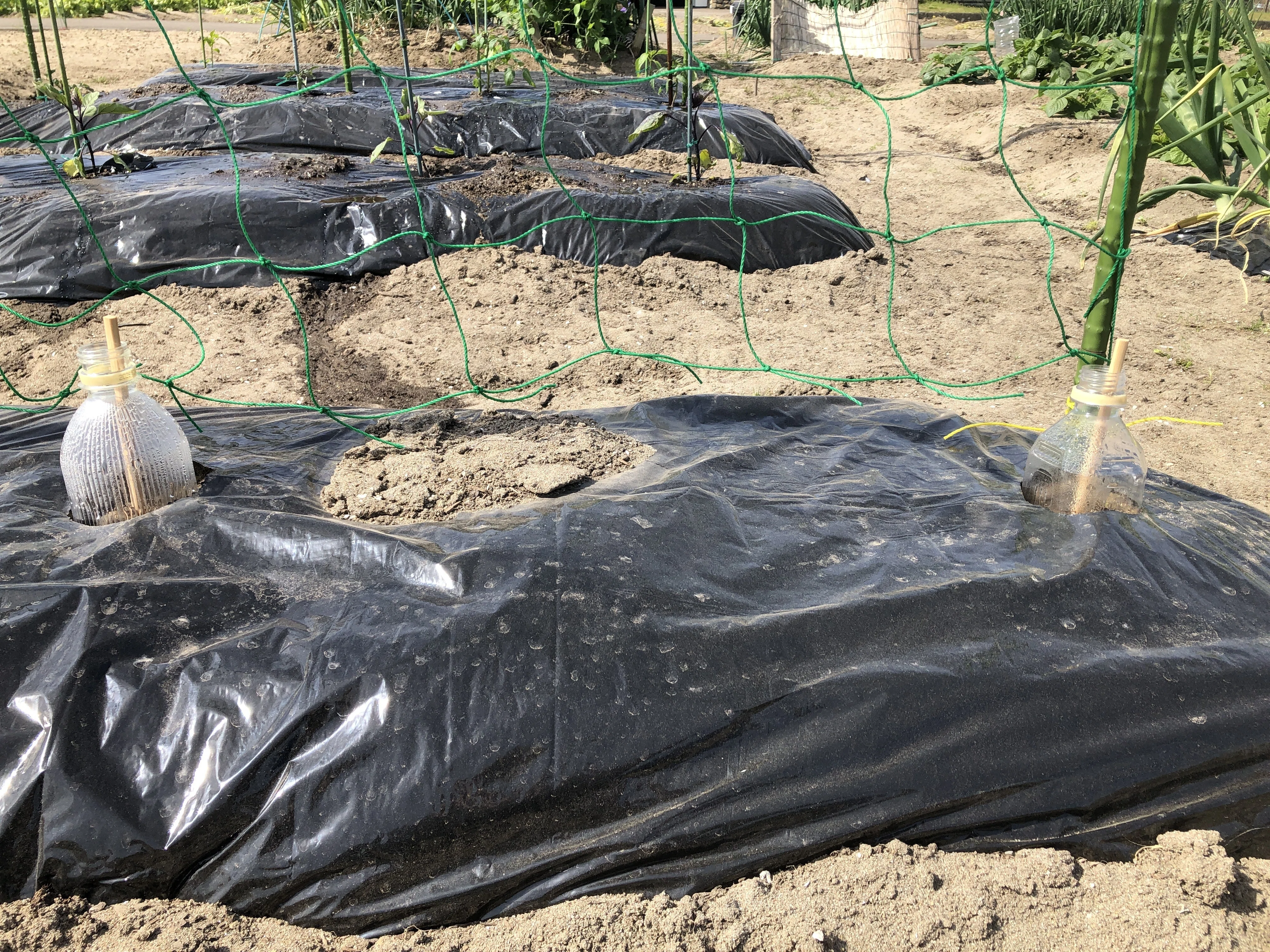 苗付けの前に！家庭菜園用農具一式 家庭菜園：植えた苗に水をかけなくては｜もう6時