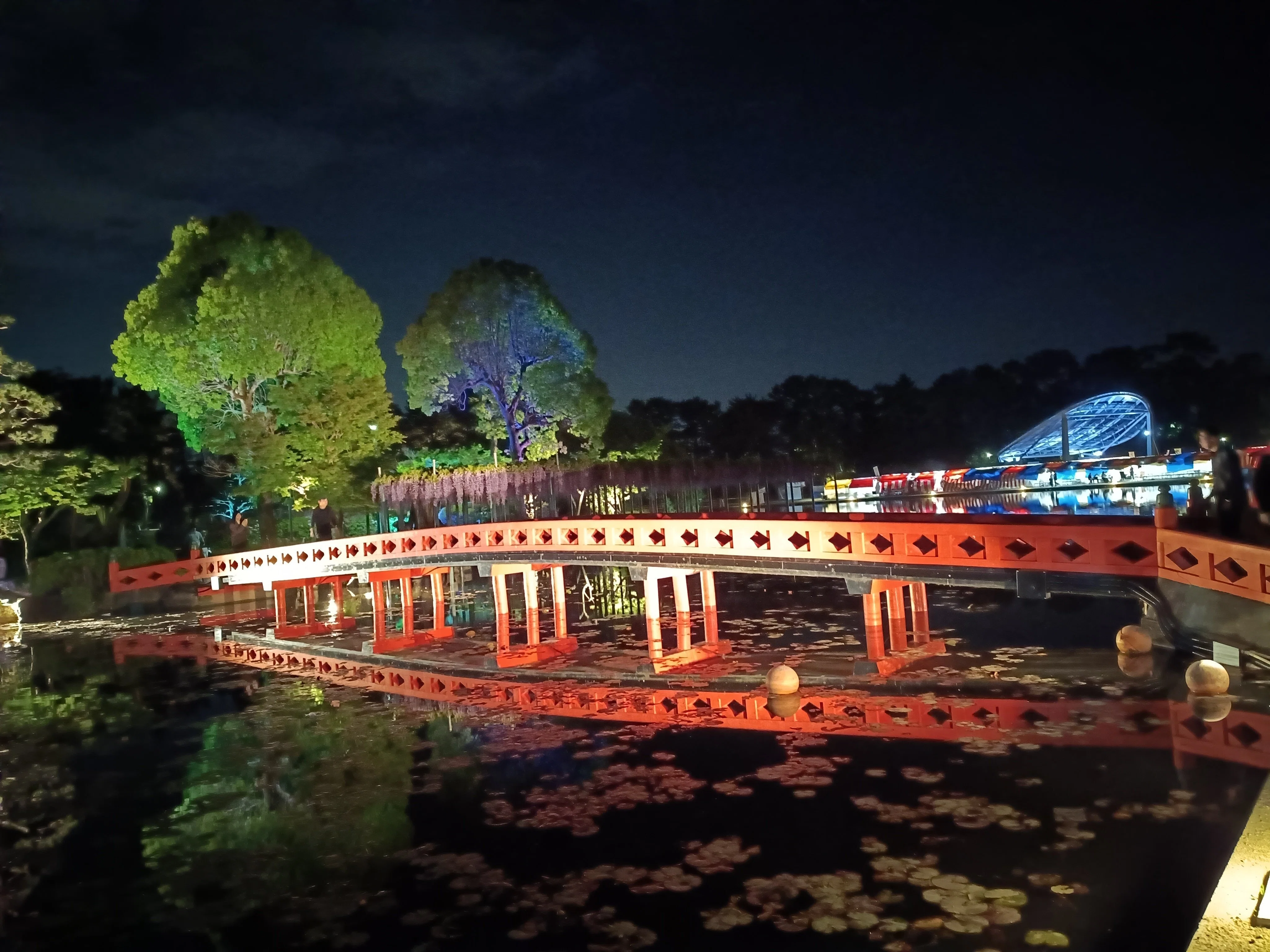 津島天王川公園「藤まつり」に行ってきました｜ADPUB