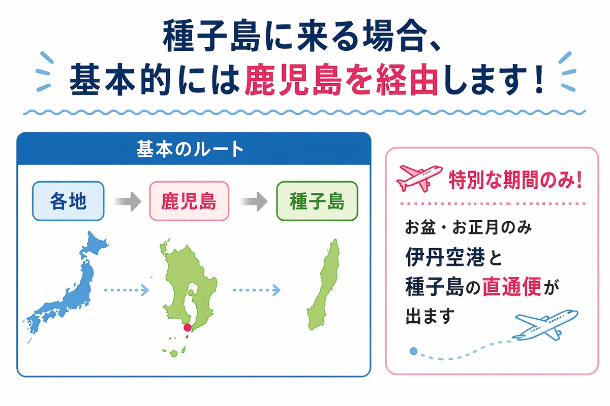 種子島🏝️南種子町（みなみたねちょう）に行くには？アクセス方法