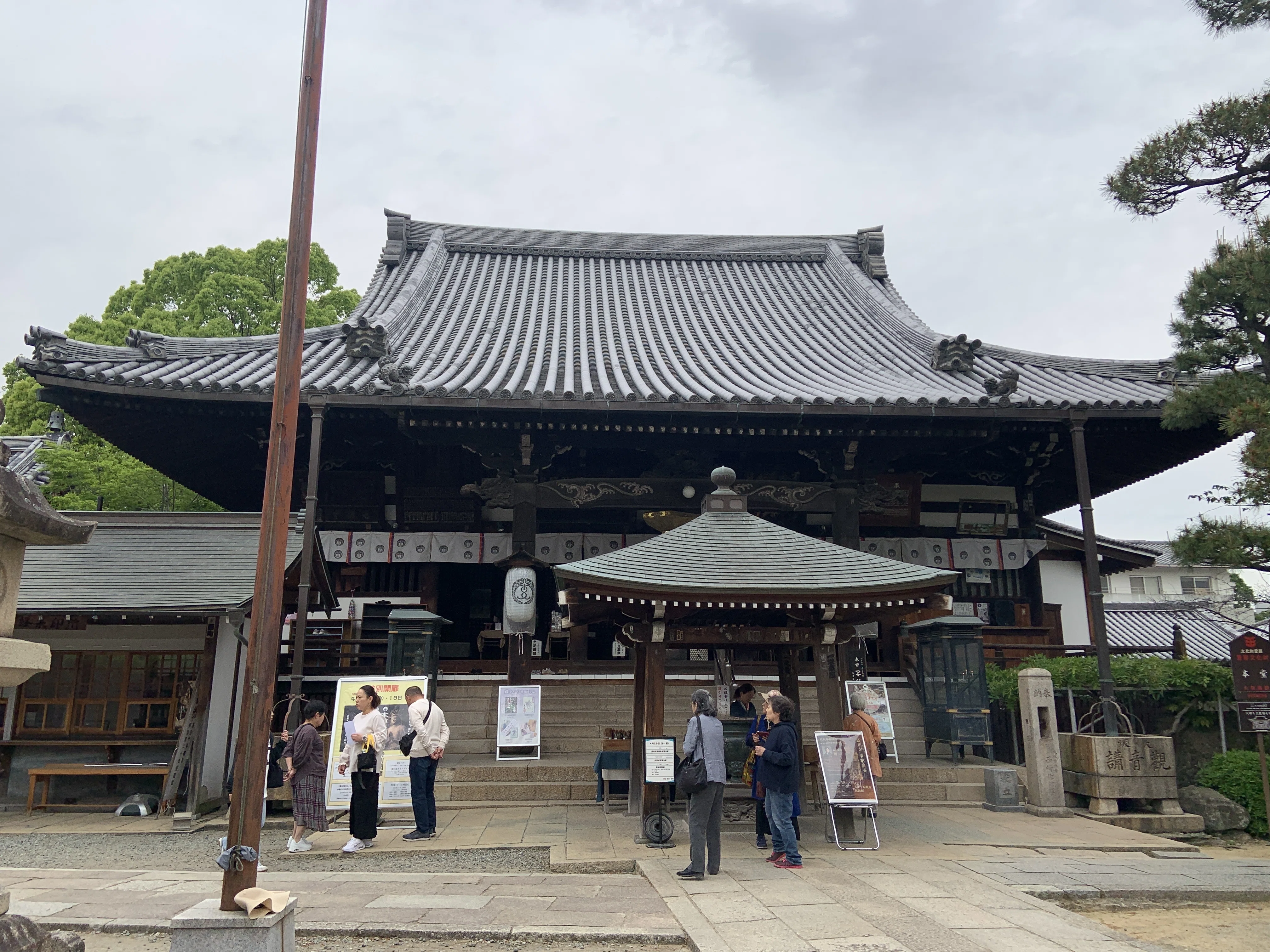 大阪府藤井寺市「葛井寺」の藤の花を見てきました｜Yukitaka | 旅行と
