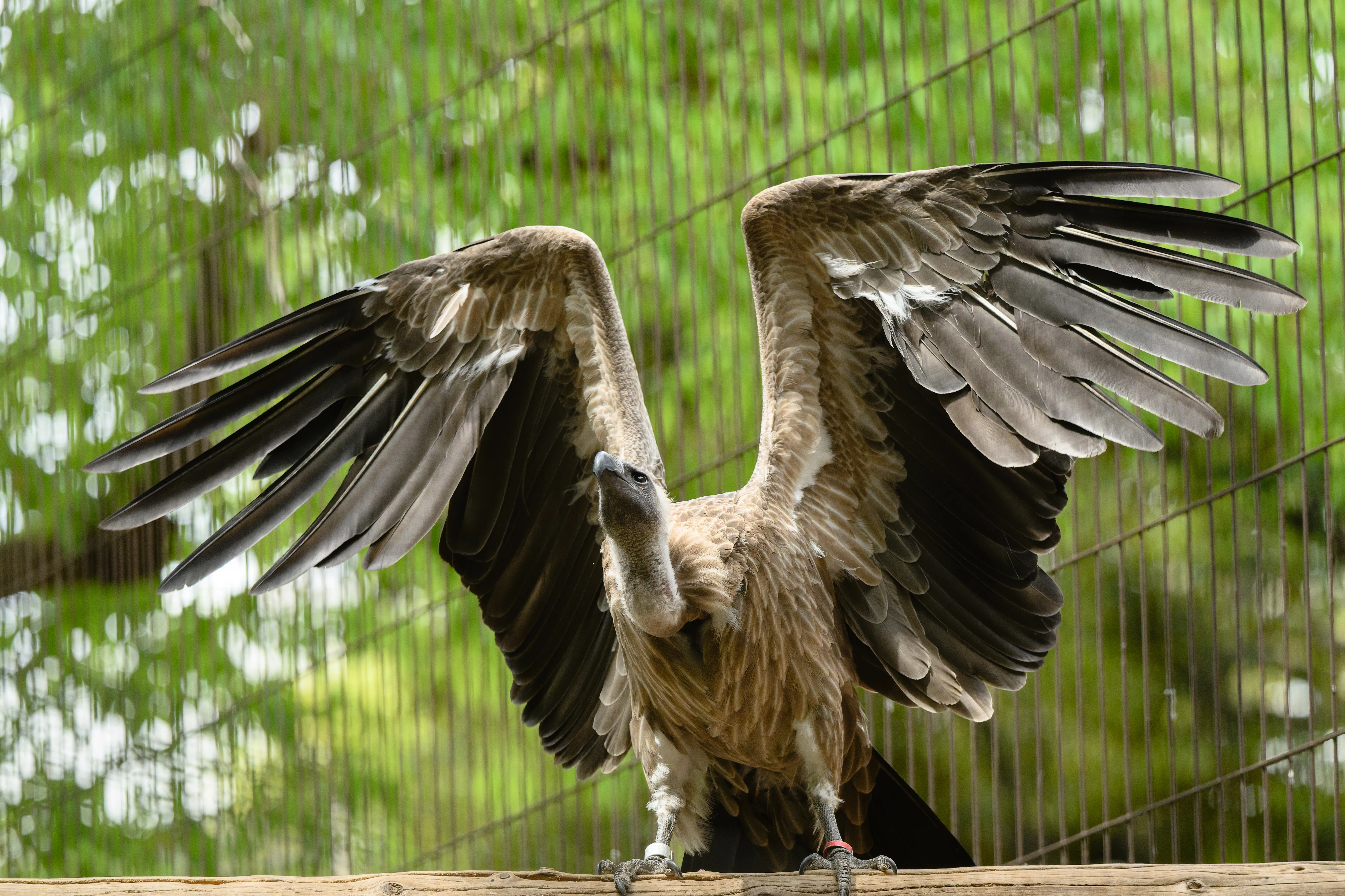 68 「自分らしい写真」を定義する｜NIKKOR Z 180-600mm f/5.6-6.3 VR