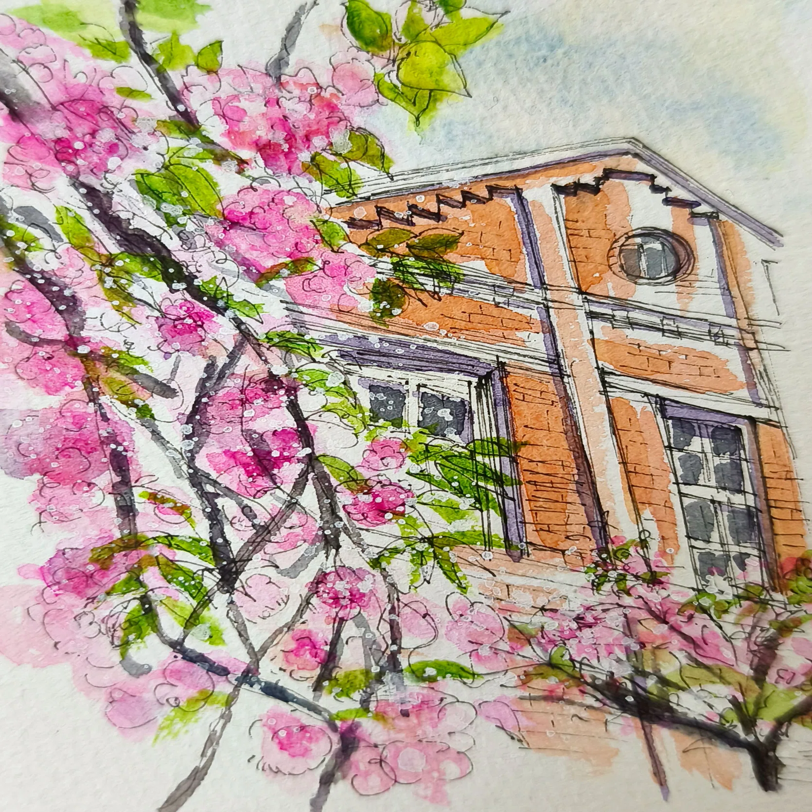 大阪造幣局桜の通り抜けに行ってきました！(透明水彩イラスト)｜kamo