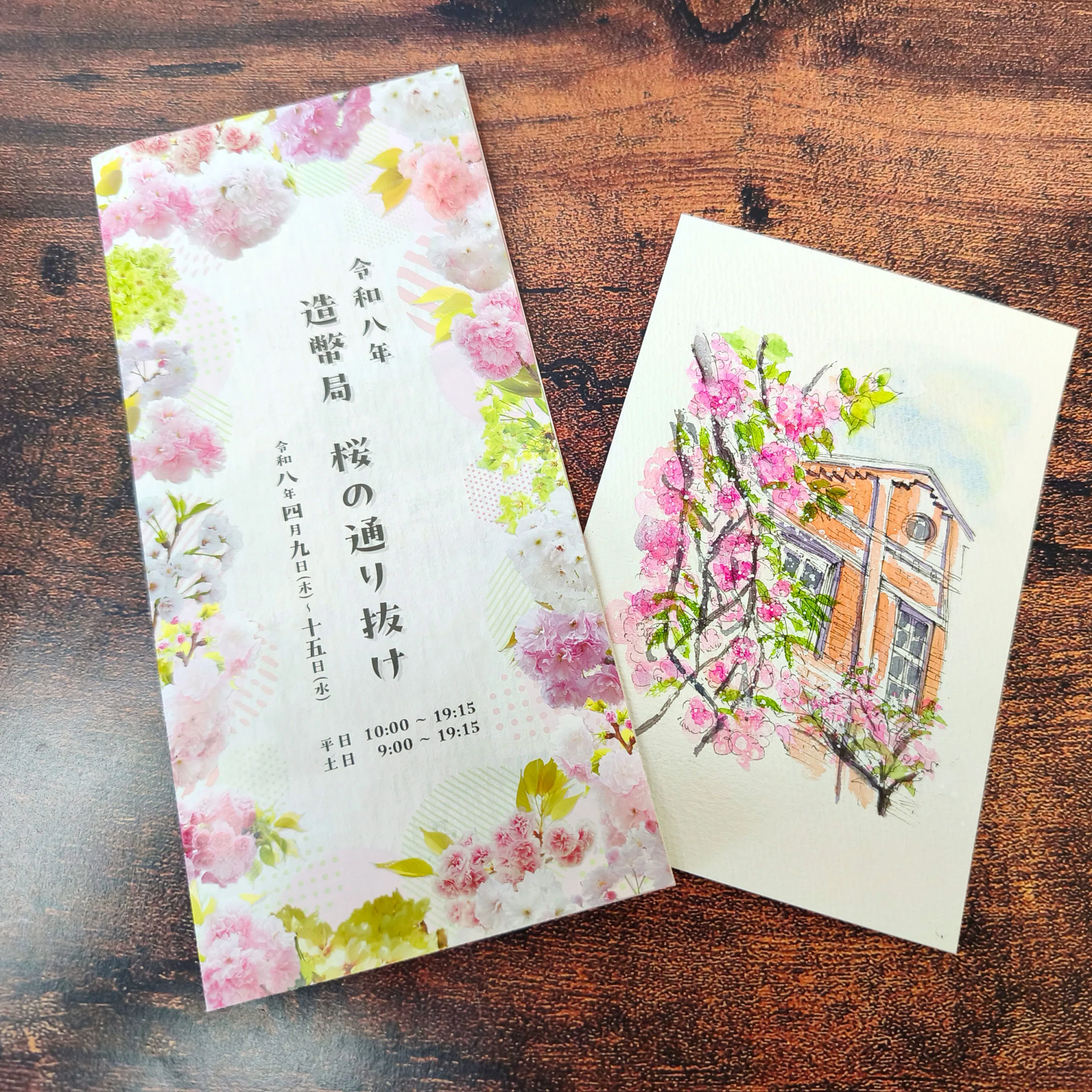 大阪造幣局桜の通り抜けに行ってきました！(透明水彩イラスト)｜kamo