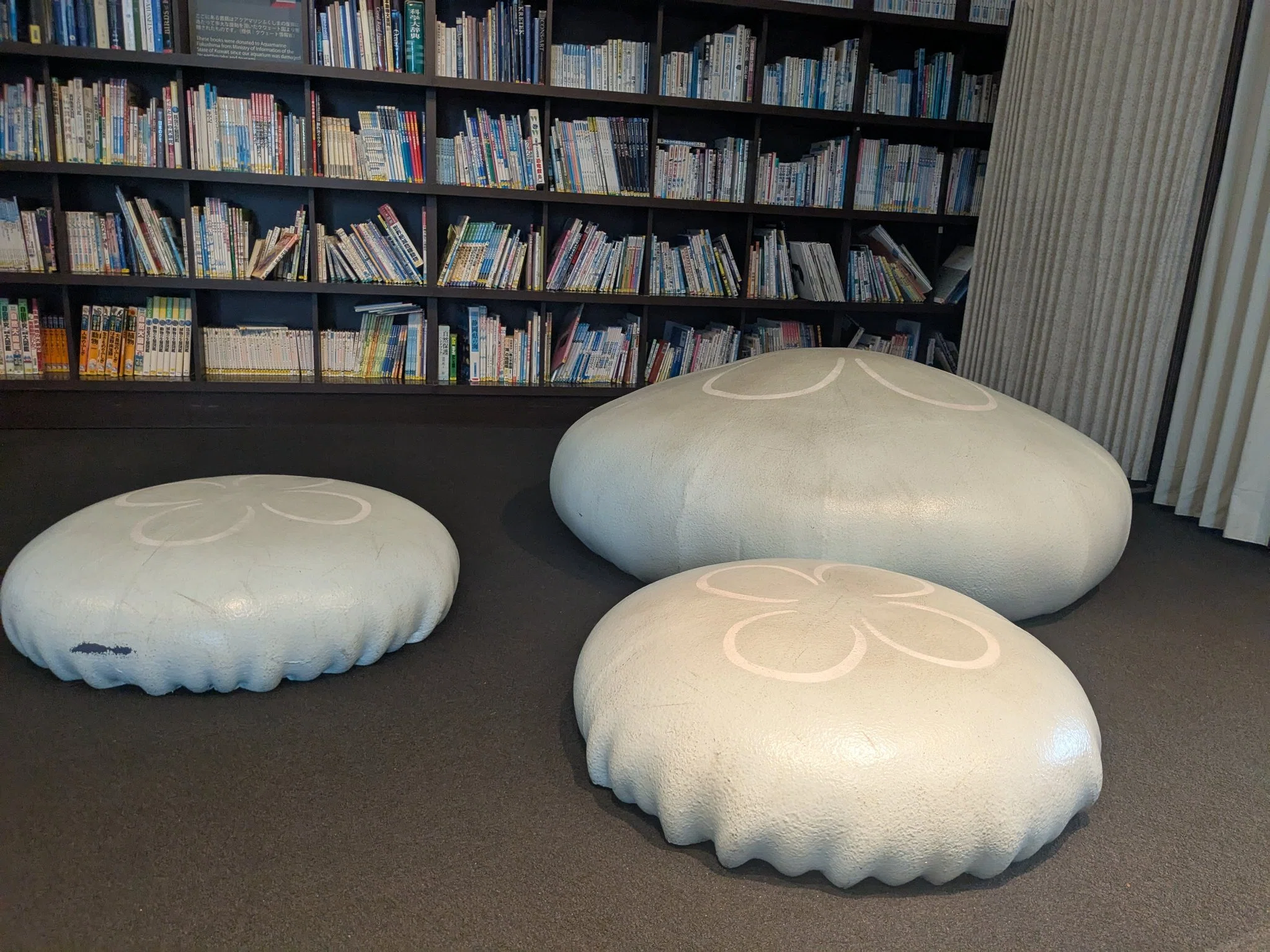 For Kids] Recommended Jellyfish Books｜くらげ同好会