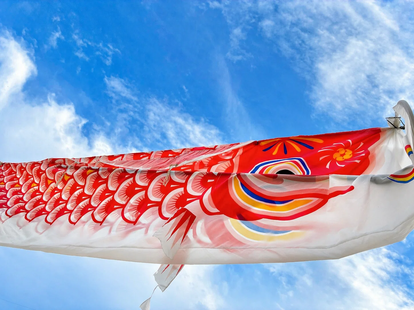 鳥獣戯画 on the Sky｜craft well navigator™