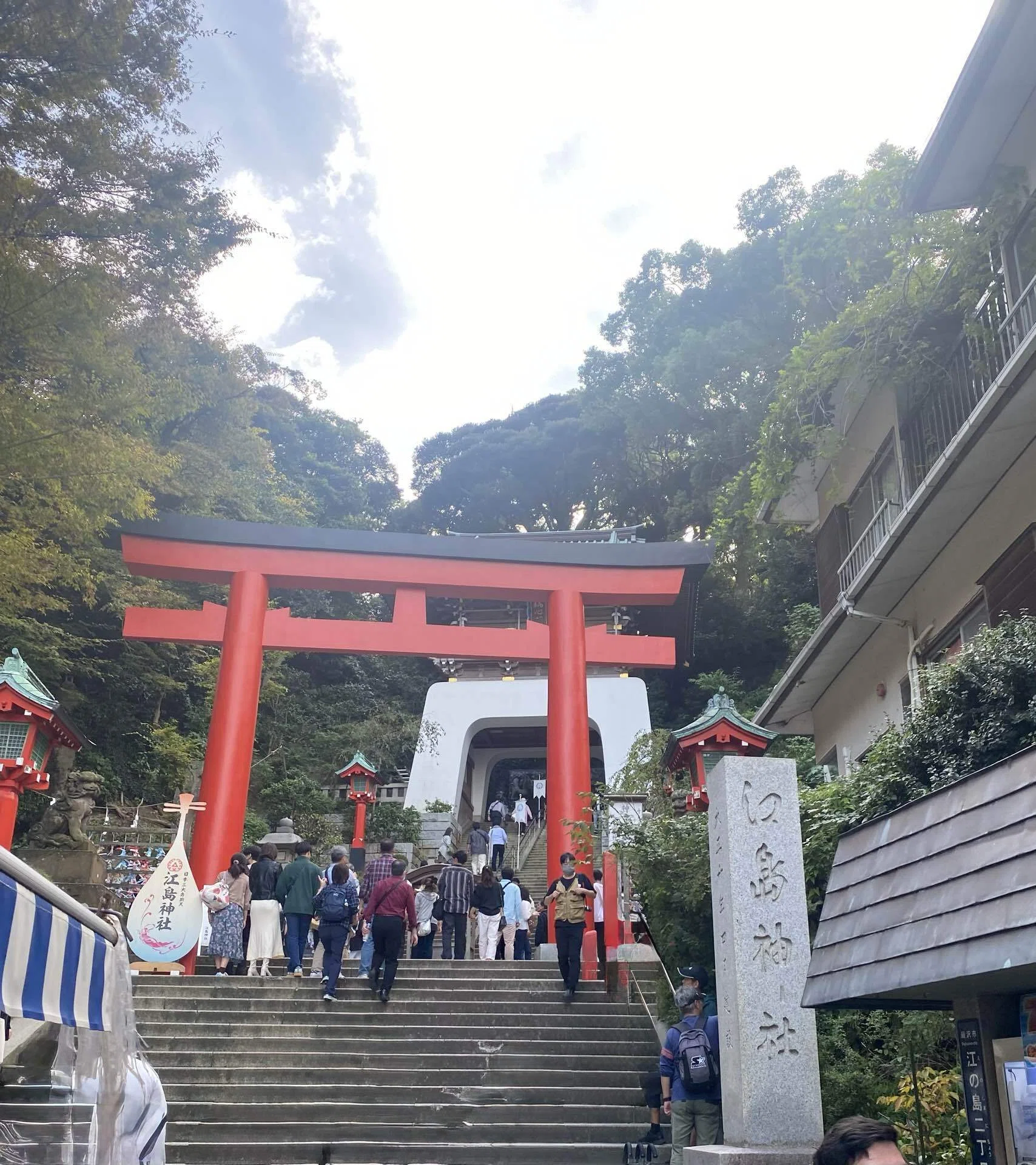 江島 鶴岡 弁才天女像 【貴重本】藝苑巡禮社 昭和28年発行 江島鶴岡