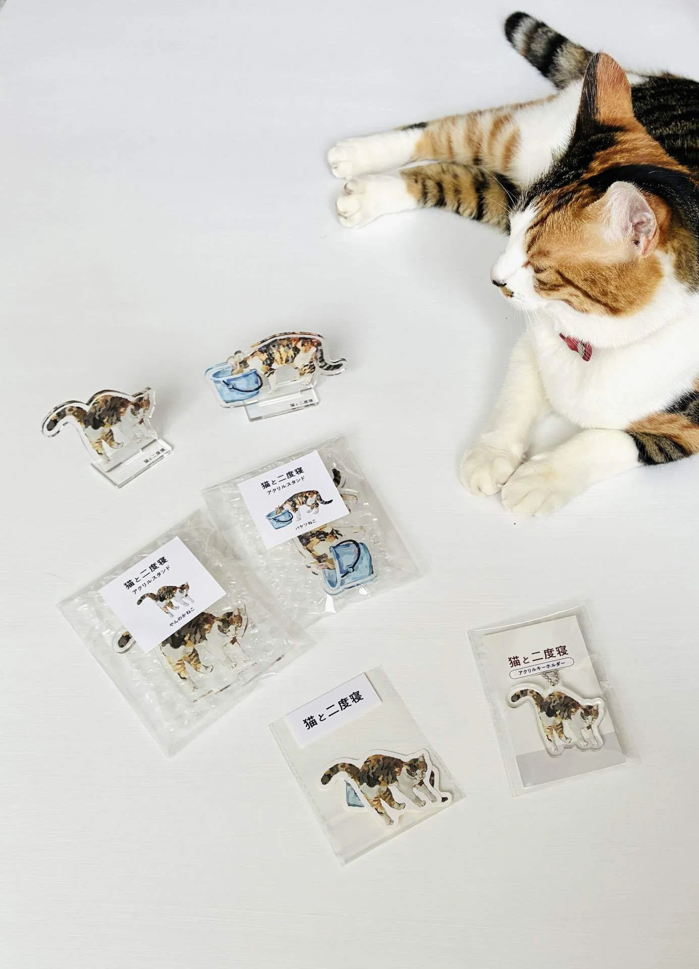 デザフェス63】「猫と二度寝」出展のお知らせ｜Ayano Kamiya