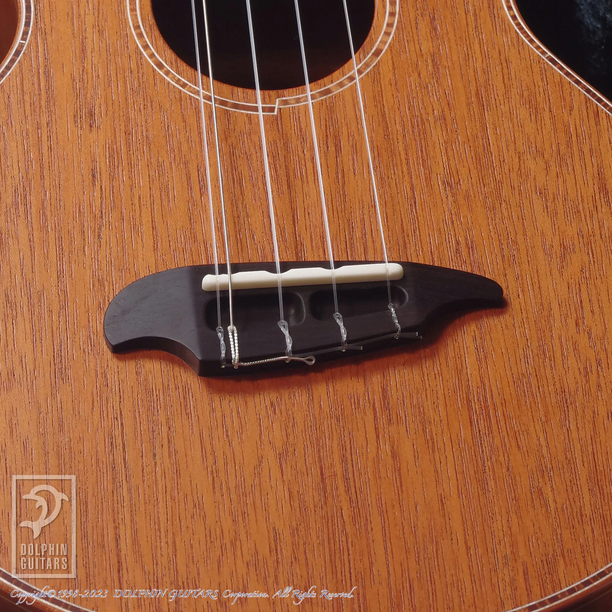 TODA GUITARS ウクレレの魅力に迫る！｜ドルフィンギターズの中の人たち