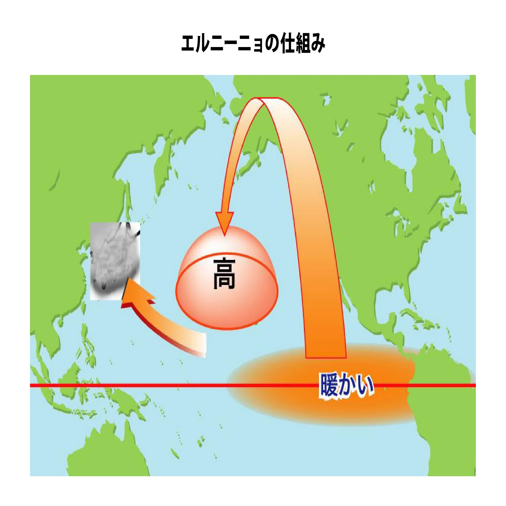 冷夏