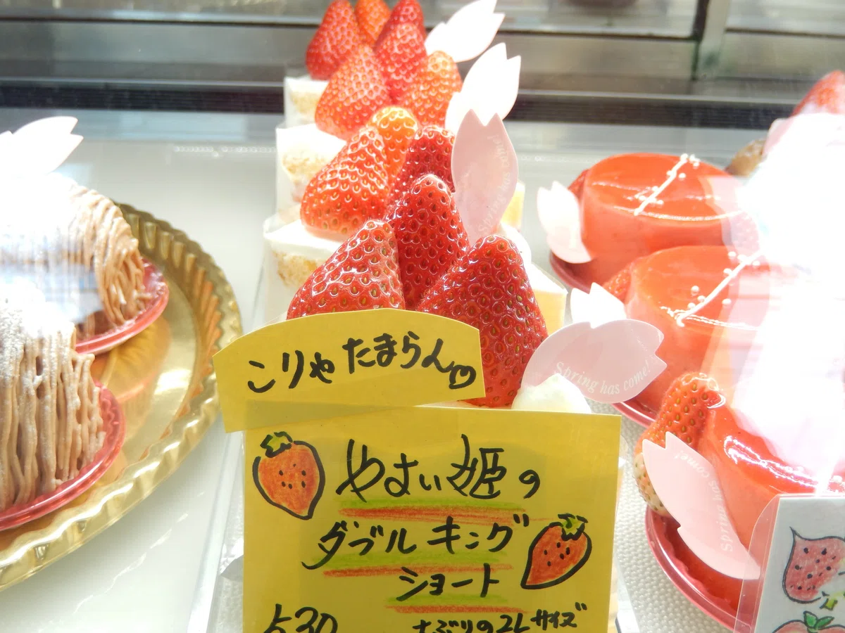 「モコンさんの庭」資料写真アルバム：Materials-32【イーチファンペストリーEACH FAN PASTRY】今はもうありませんがまた ...