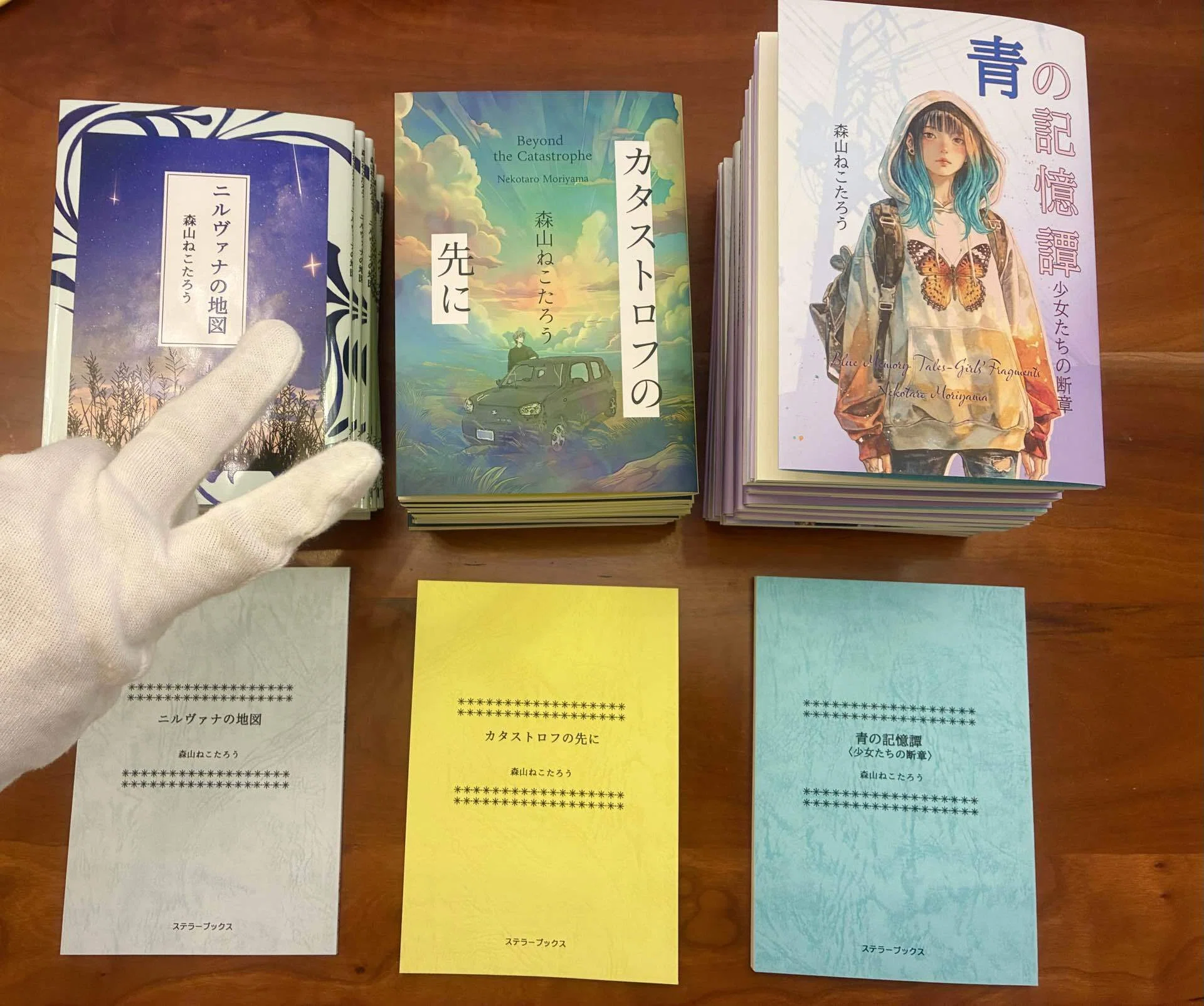 【たかぼー】8月20日テキスト出品 文学フリマ東京42 今日も出店計画 #08 ステラーブックスお品書きです