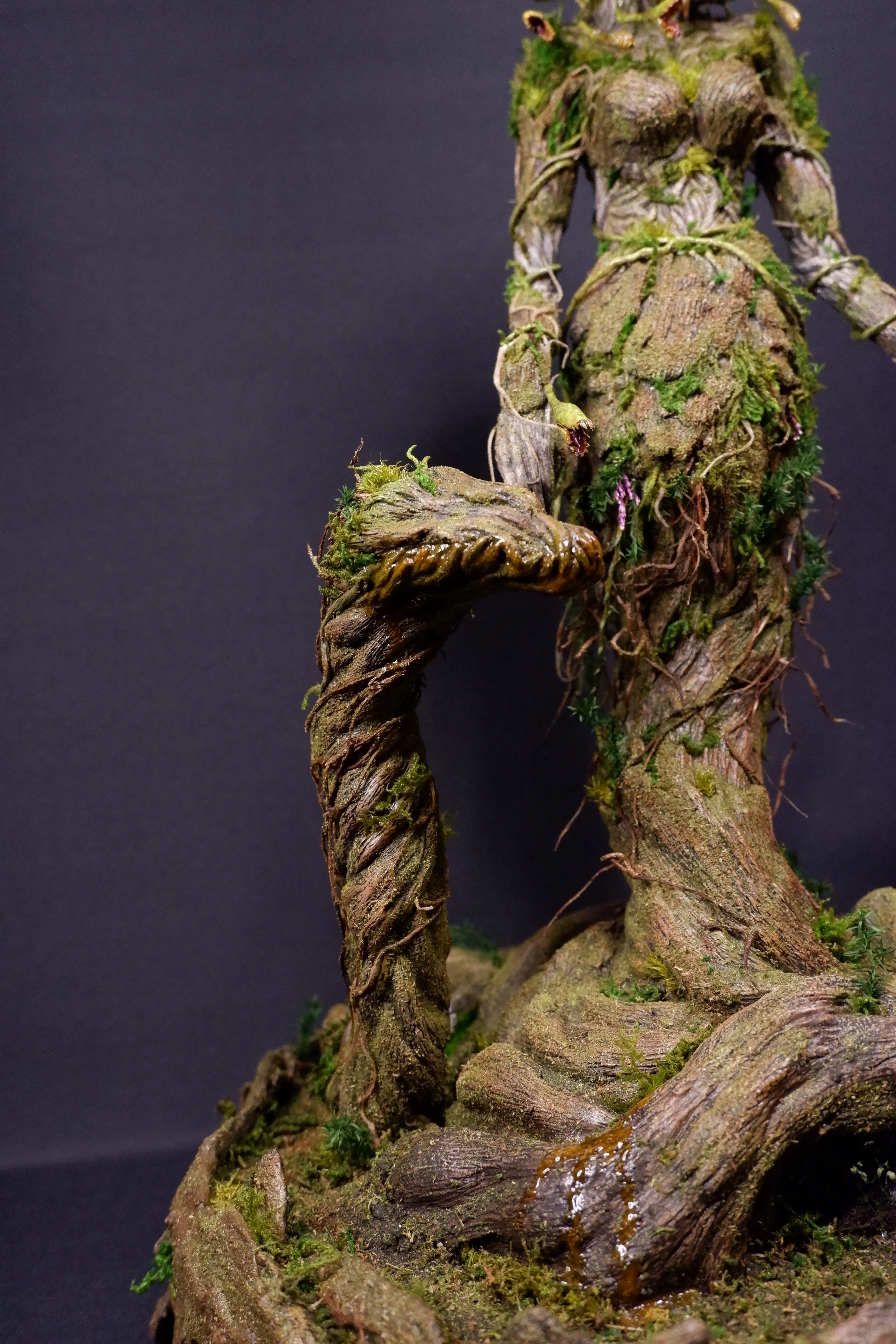 Why I created Plant Medusa｜PIERROT