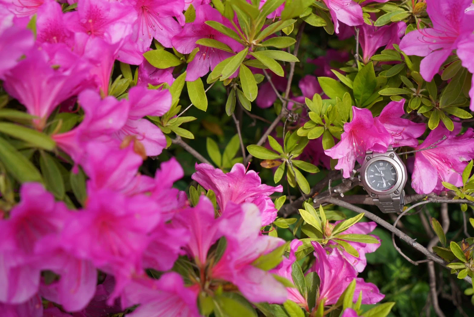 G-SHOCK CASIO MR-G - MRG-120TZ-8A Color Jazzy MRG-120TZ-3A COLOR