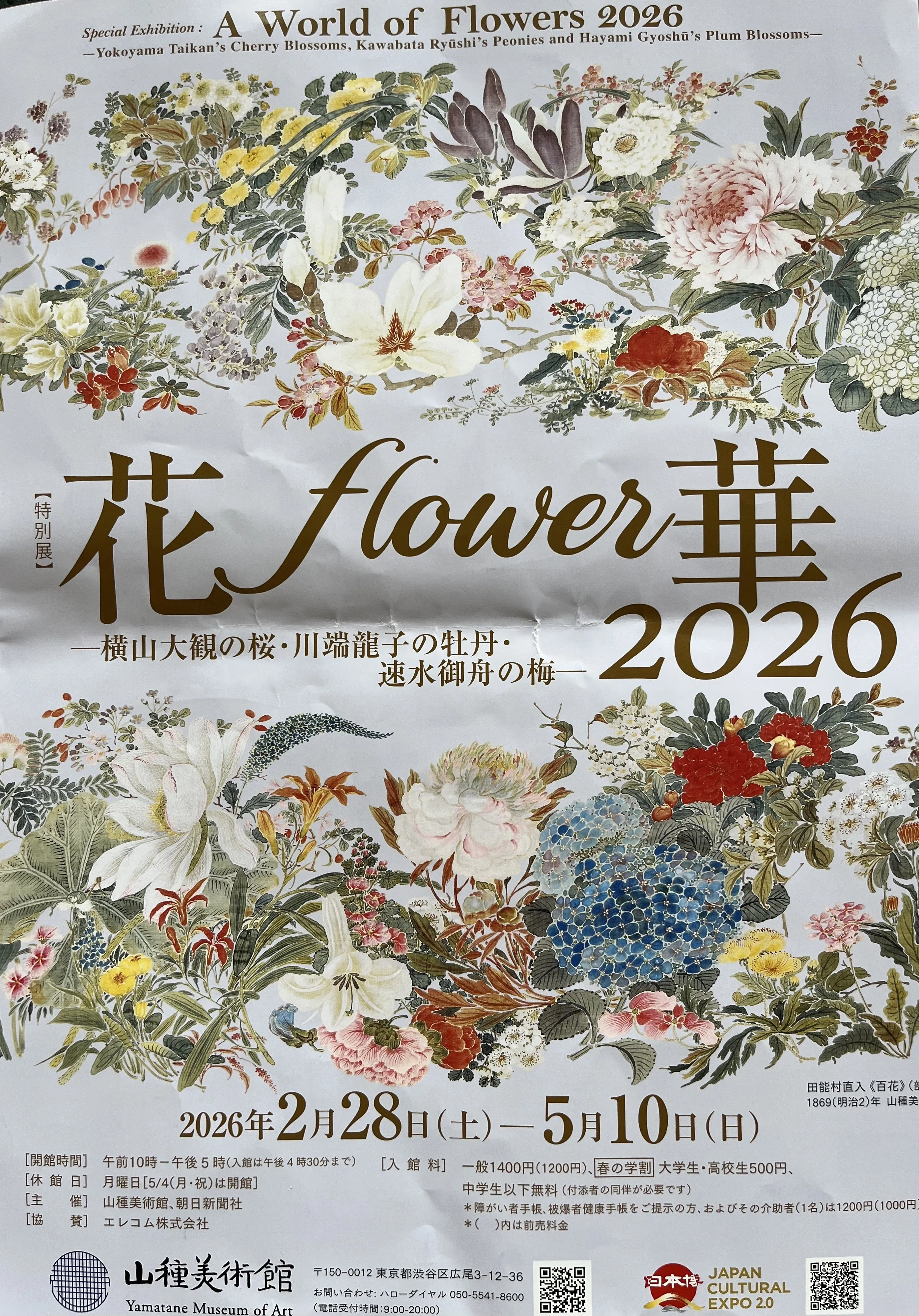 山種美術館に花を見る｜あーこ