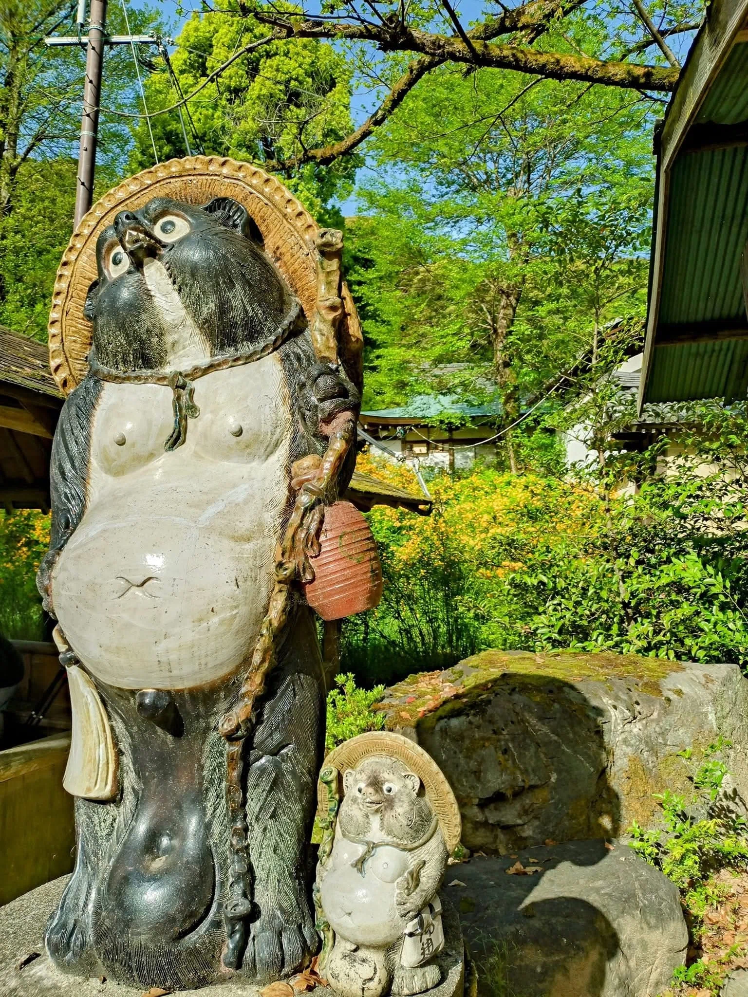 2026年最新】松尾大社の山吹が満開｜見頃・魅力・アクセス完全ガイド