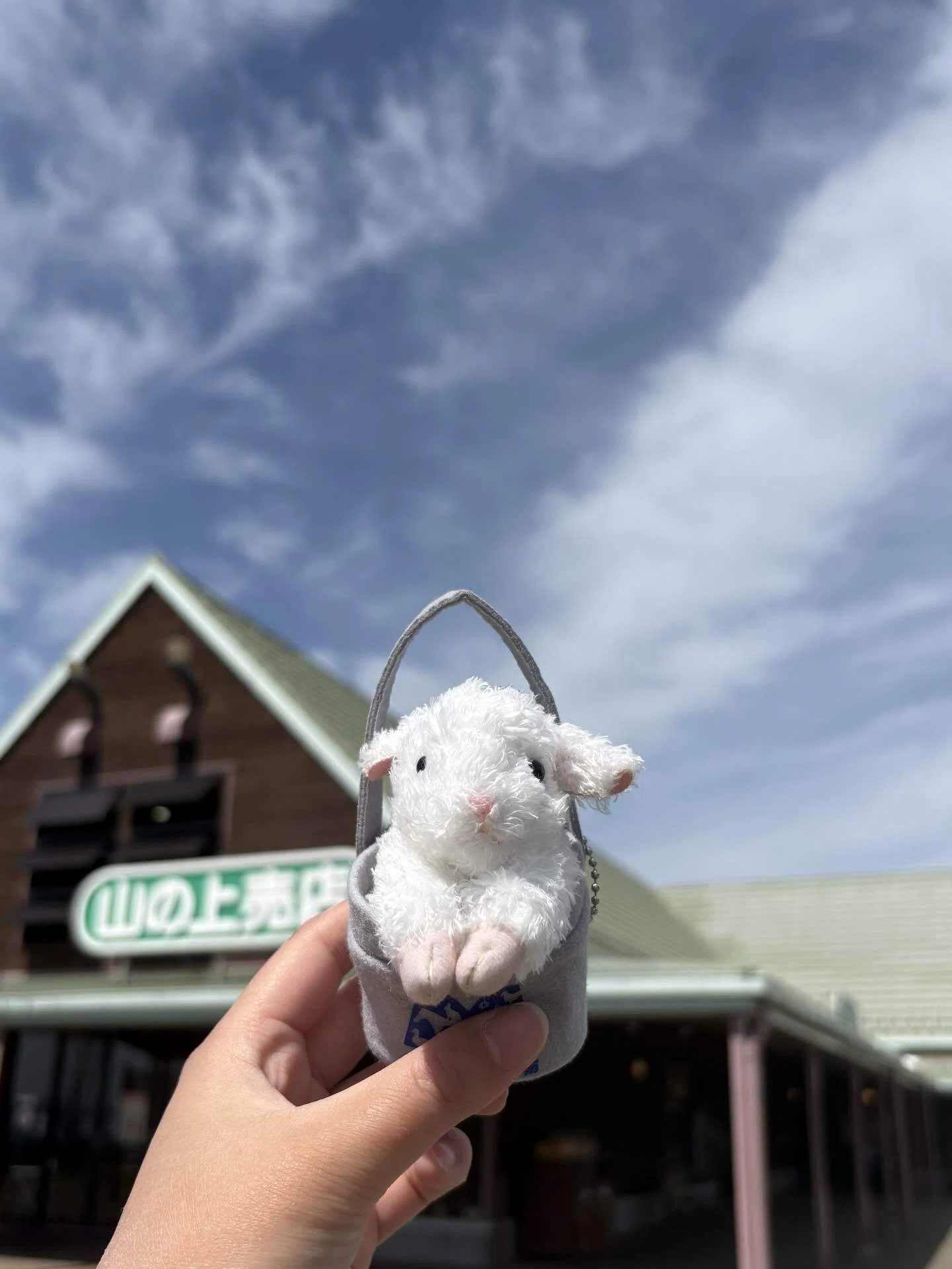 青さぎ牧場 マザー牧場︎┊︎ひつじ、ヤギ、ソフトクリーム｜空白