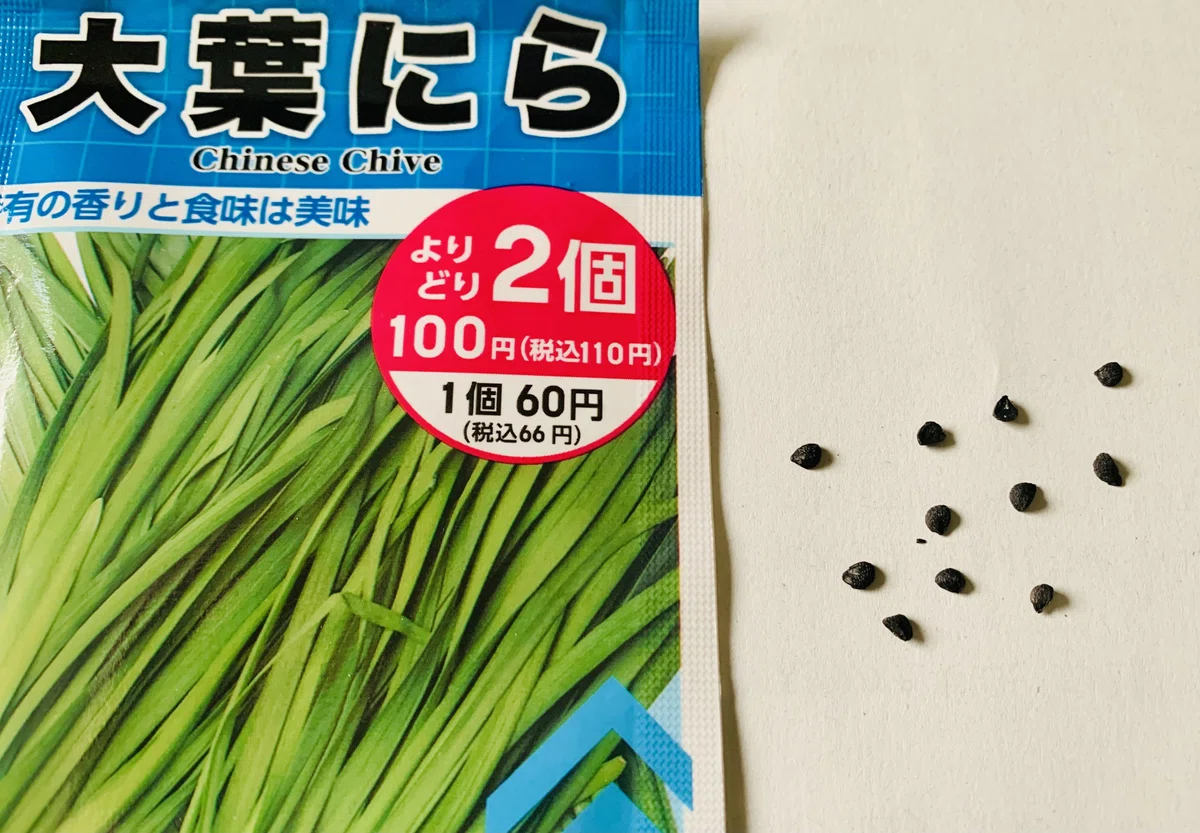 ニラを種からプランターで育て中。やっと芽が出てきた!|育てる暮らし|2児のワーママ