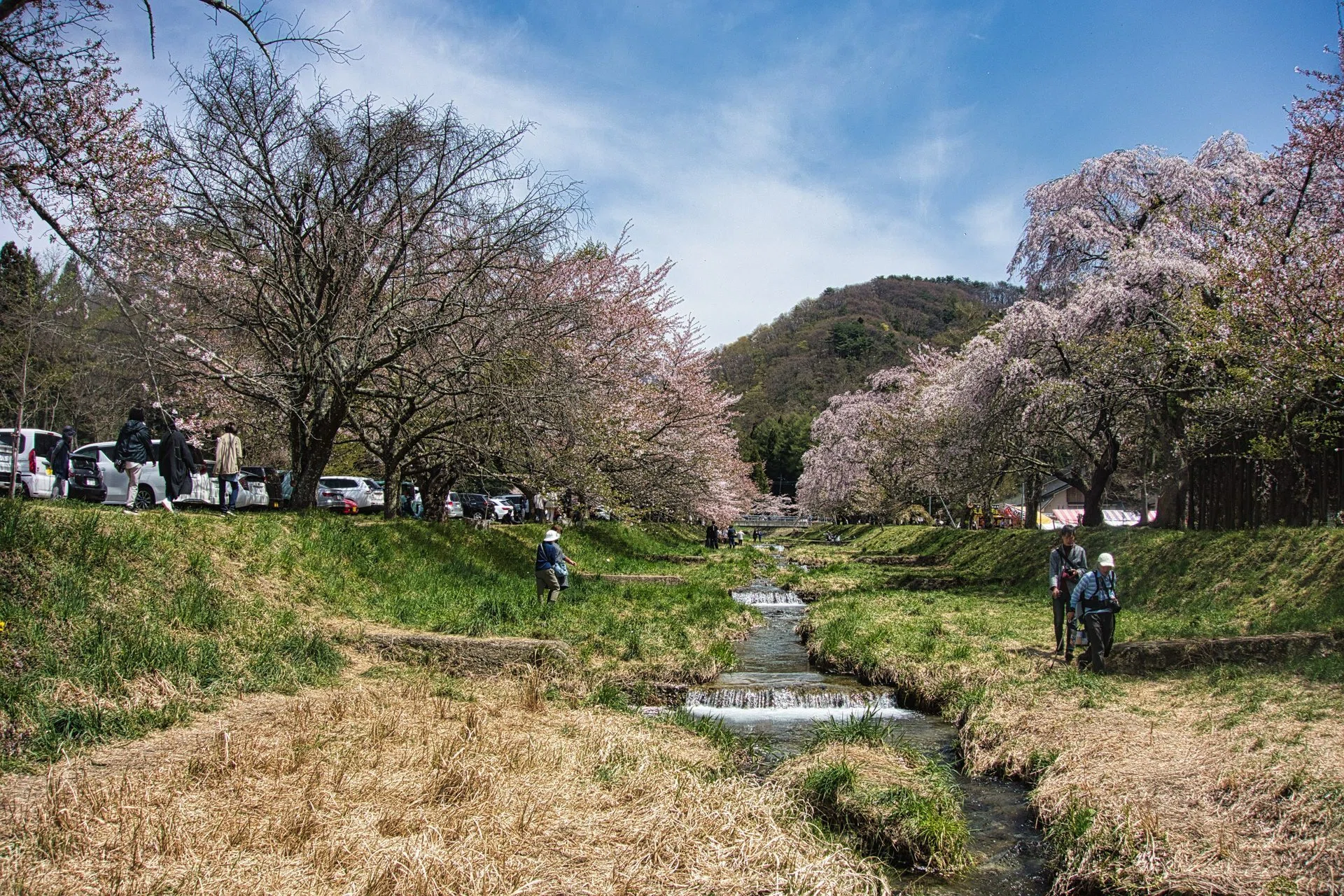キャンバス油絵　専用　 旅をするサフォーク羊岩山を越えて　小さめキャンバス デュオ2泊+ソロ1泊 1日目：4月21日(月)会津若松市 子どもの森キャンプ