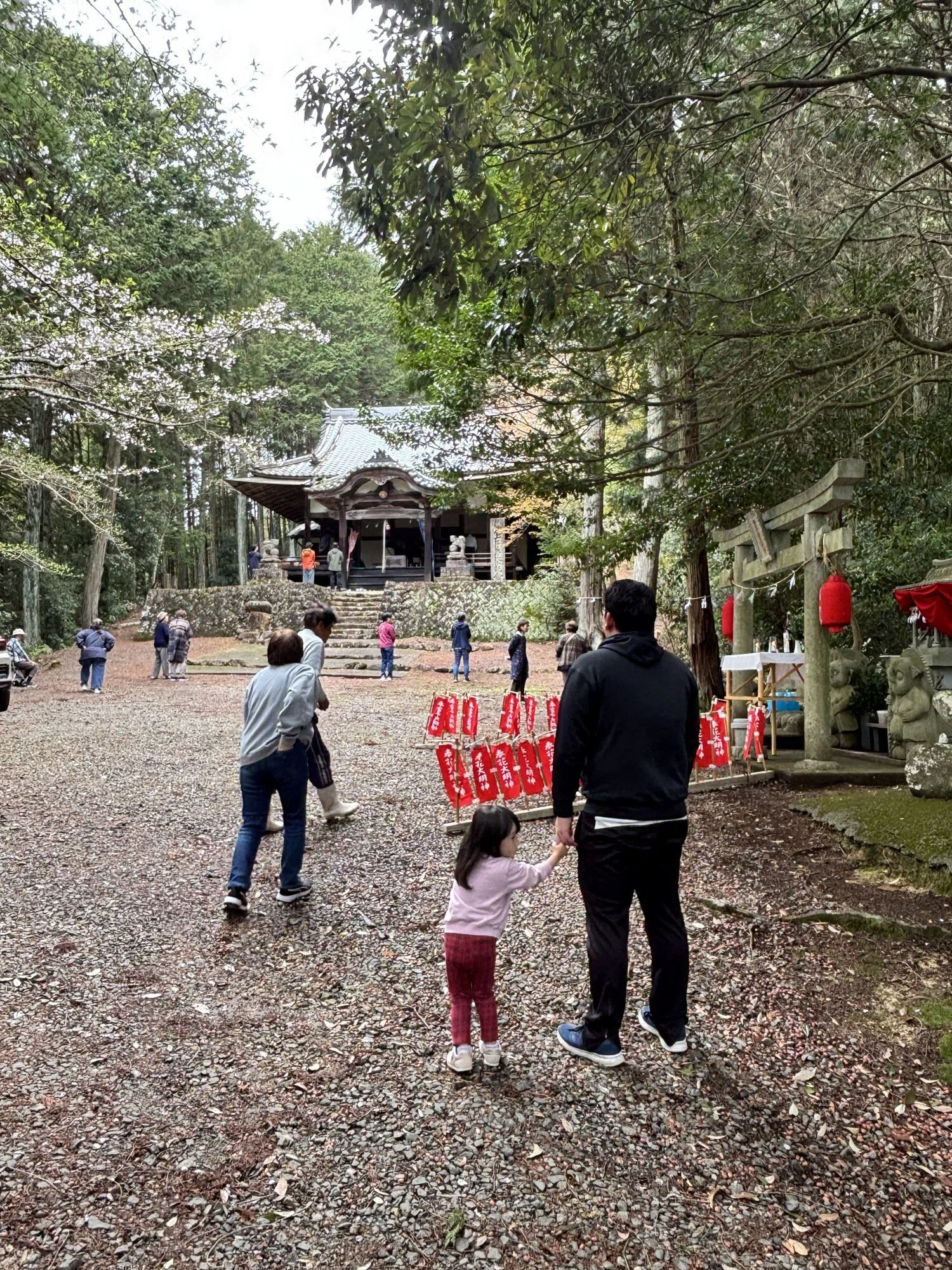 松山市久谷町に伝わるタヌキのお祭りが深かった話｜＃ヒキダシ