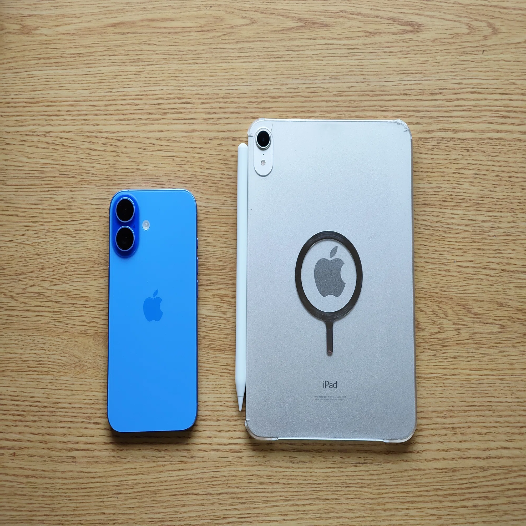iPad miniは大きいスマホなのか？ 2年使ってわかったこと｜てすとてっく