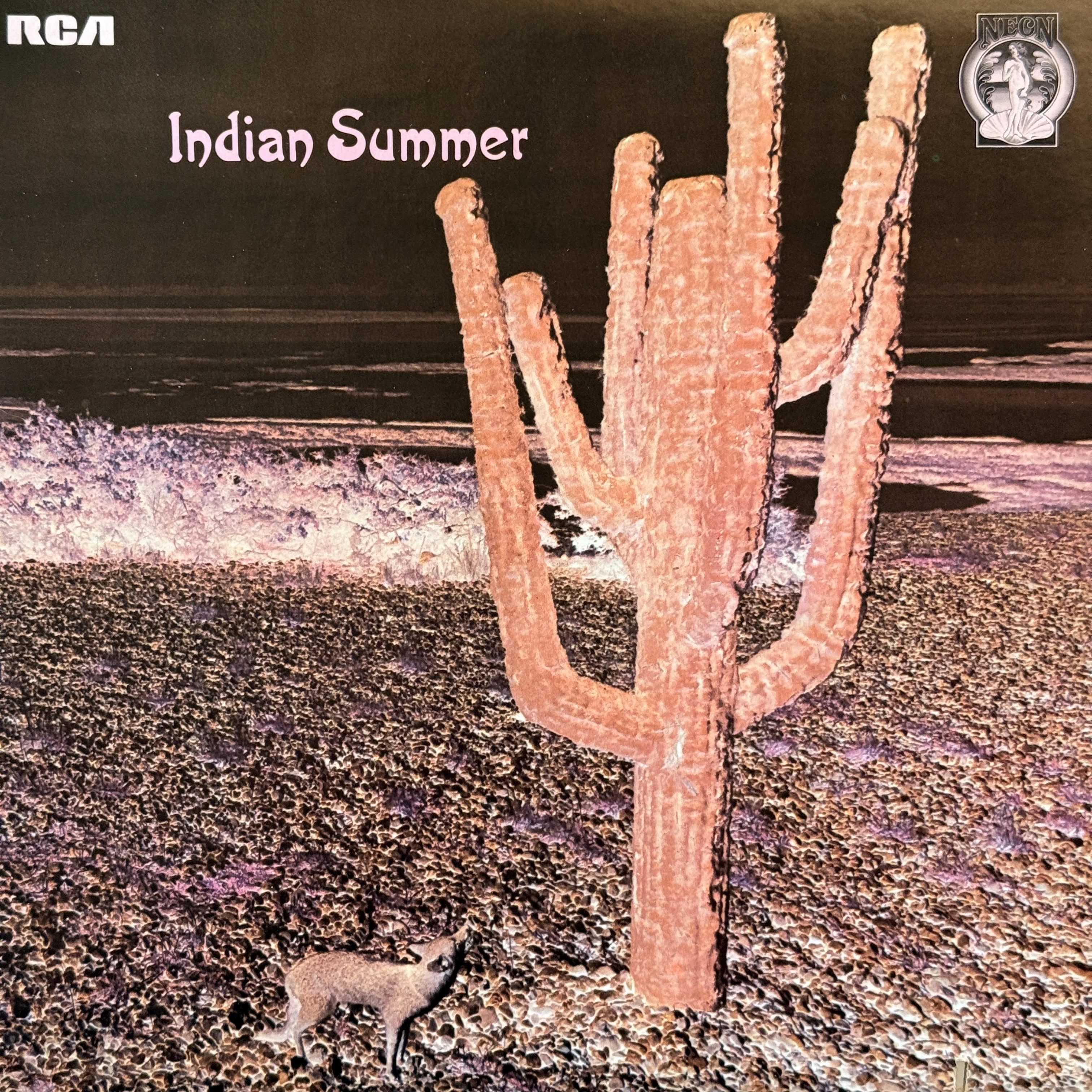 Indian Summer 