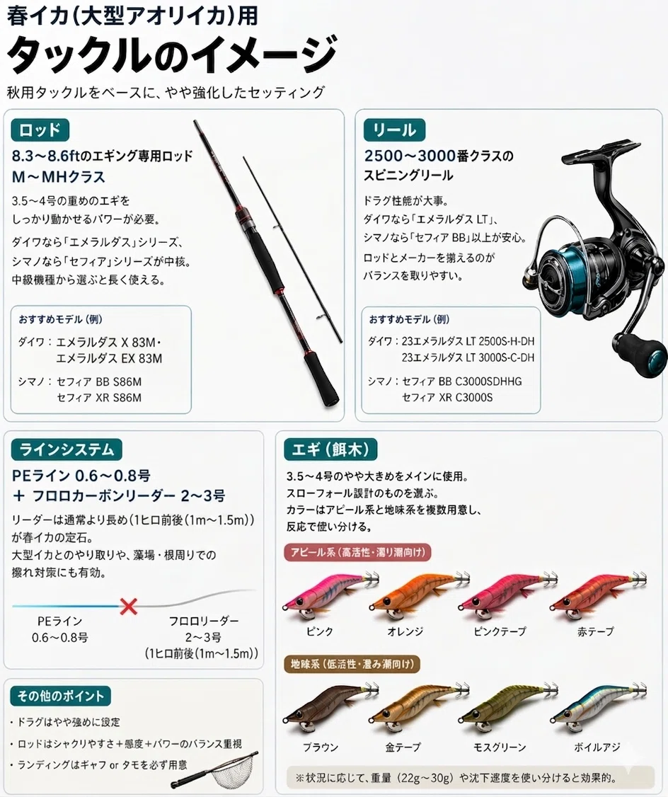 春のアオリイカは、別の生き物だ。｜FISHING EXTRA