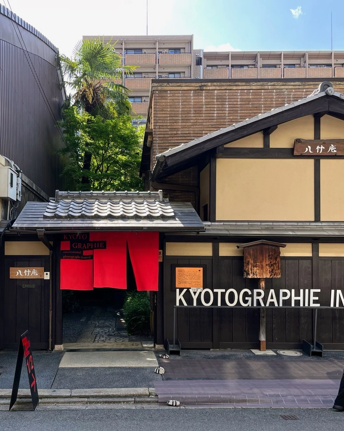 展覧会レポート】 KYOTOGRAPHIE 京都国際写真祭 2026｜美術館とお寺と猫