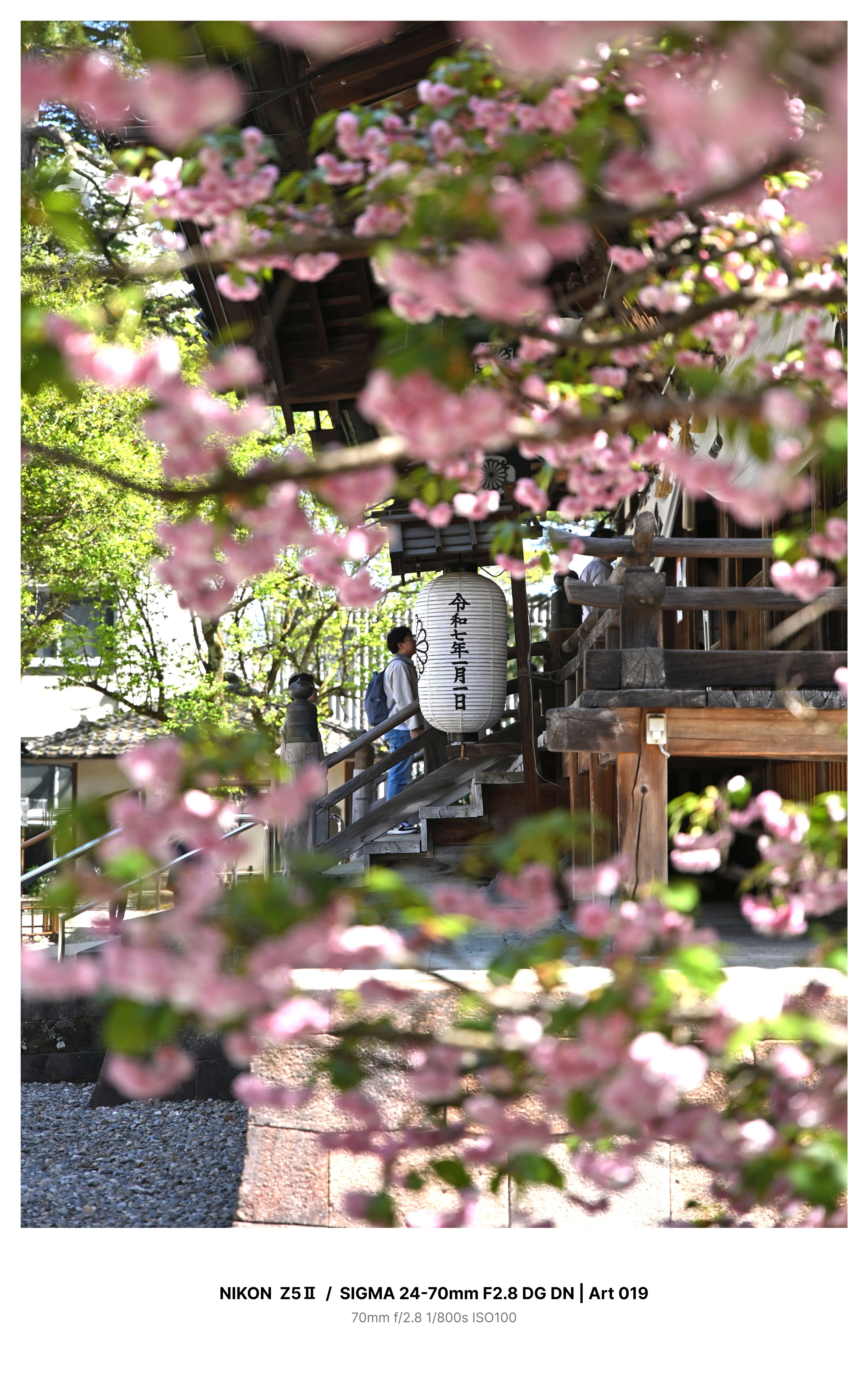 金沢で新緑カメラさんぽ＃1 －尾山神社－ Z5Ⅱ｜kenken
