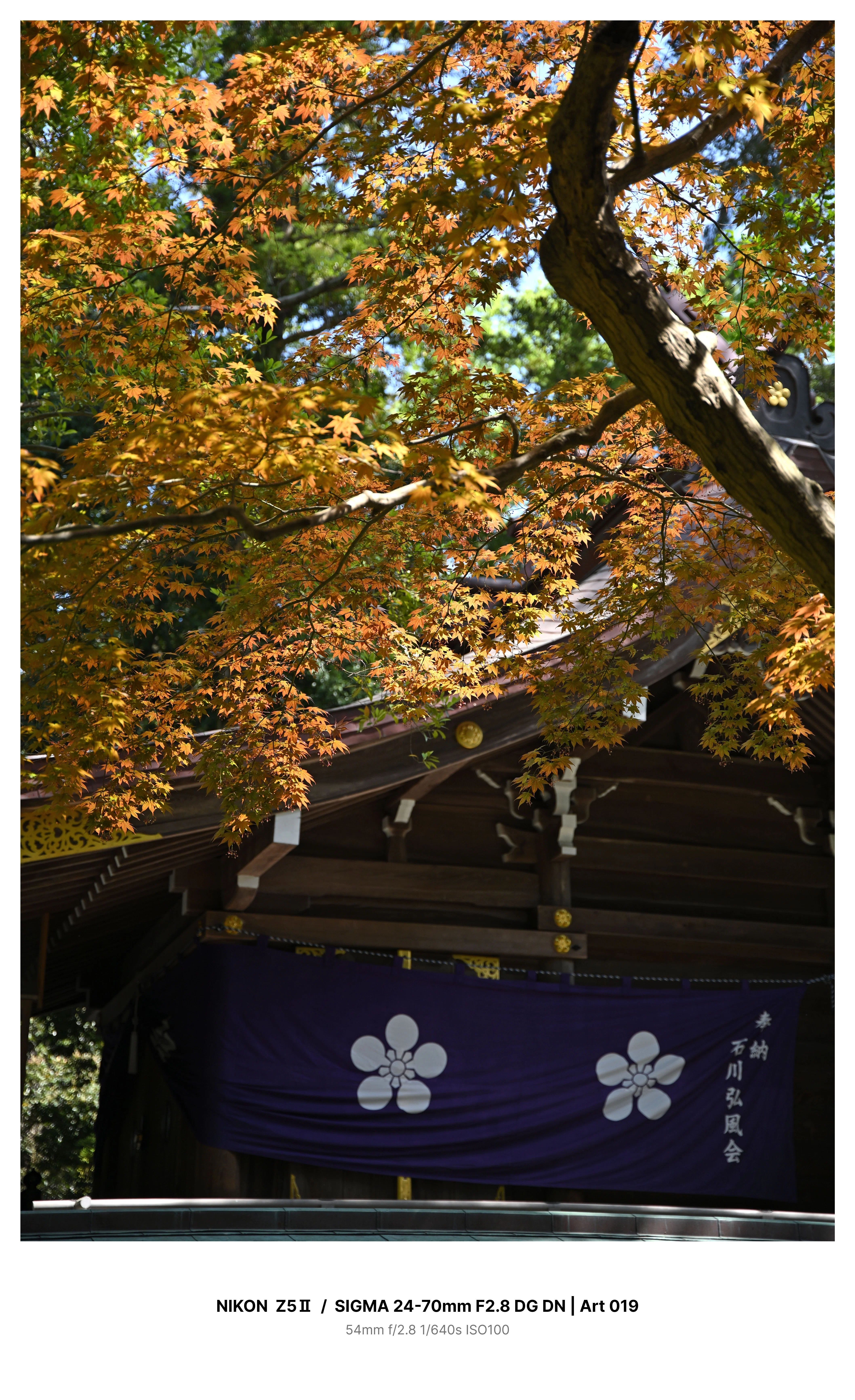 金沢で新緑カメラさんぽ＃1 －尾山神社－ Z5Ⅱ｜kenken