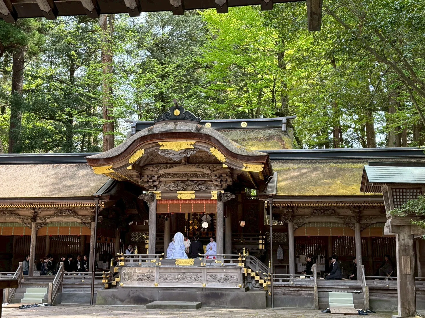 諏訪大社四社巡り、行ってきました⛩〜千葉から来た7人と、神様の場所